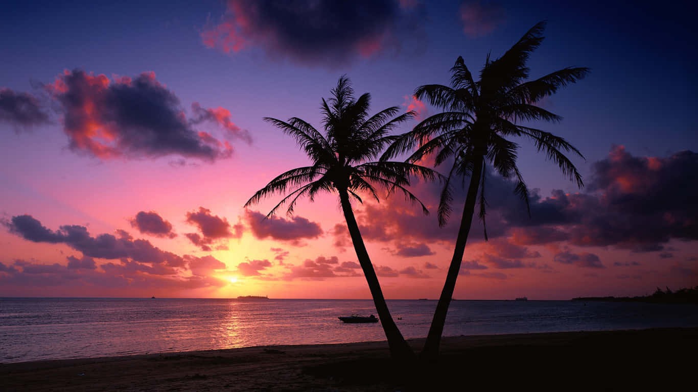 Aesthetic Beach 桌布 壁紙 — 剪影棕櫚樹襯托著平靜海面上充滿活力的日落，天空有粉紅色、紫色和橙色的雲彩。