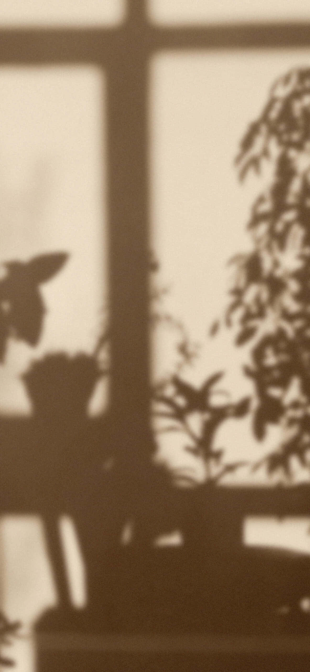 Soft Brown Aesthetic 桌布 壁紙 — 剪影植物在暖色調的窗玻璃上投下柔和陰影。