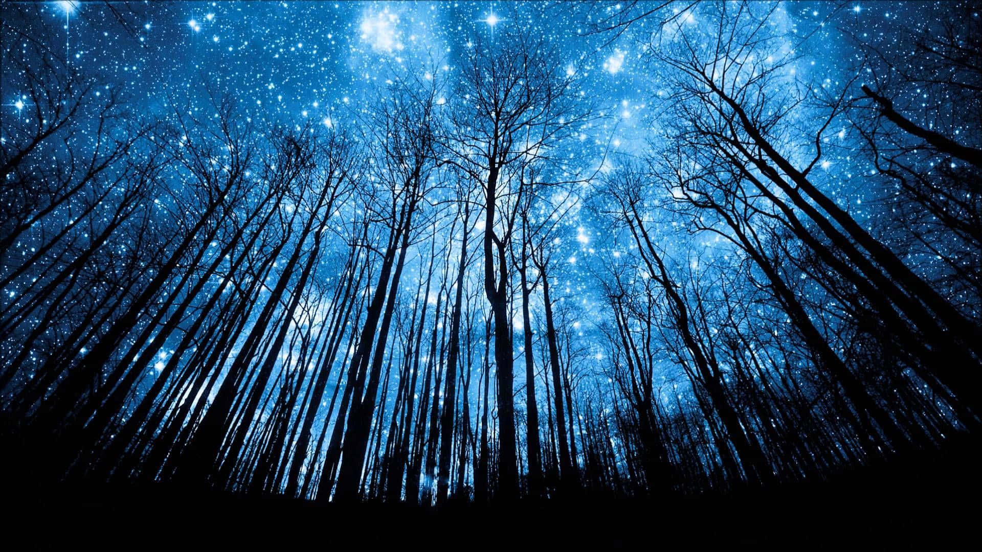 樹木 桌布 壁紙 — 剪影樹木伸向充滿活力的星空夜空，散發著宇宙藍光。