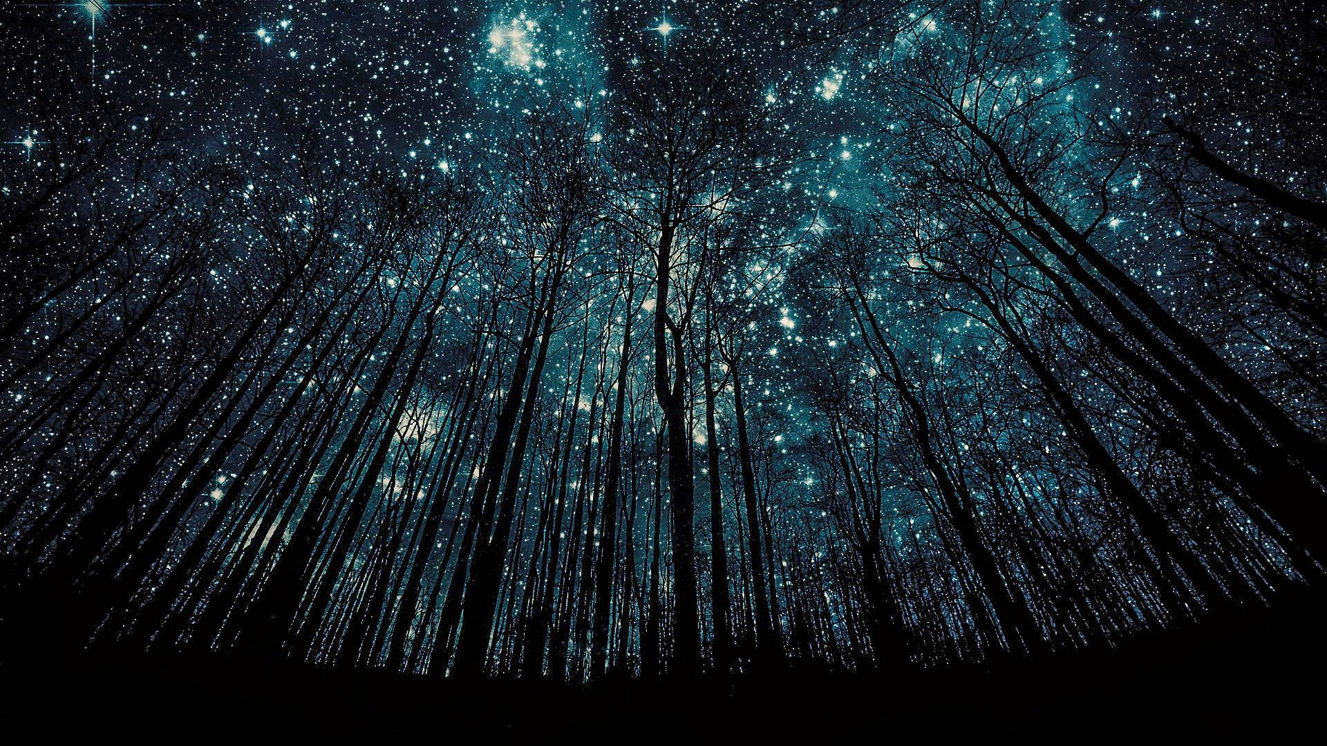 寬螢幕動態圖片 桌布 壁紙 — 剪影樹木伸向充滿活力的星空夜空，散發著宇宙藍白光芒。
