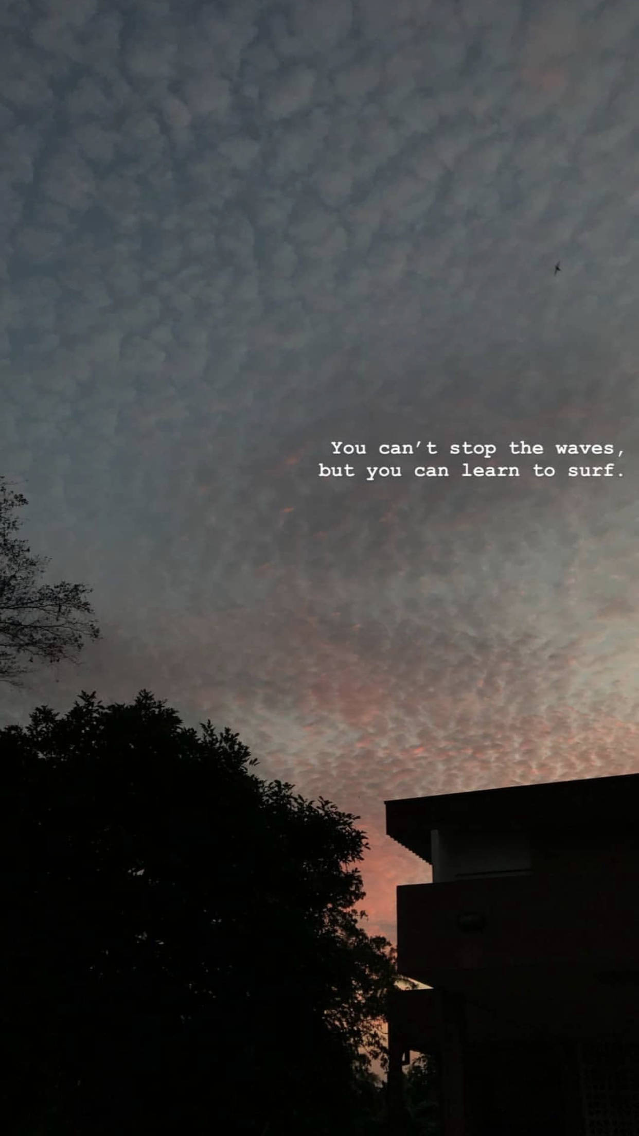 Sad Quotes 桌布 壁紙 — 剪影樹木和建築物框住黃昏天空，帶有紋理的雲朵閃耀粉紅和橙色。