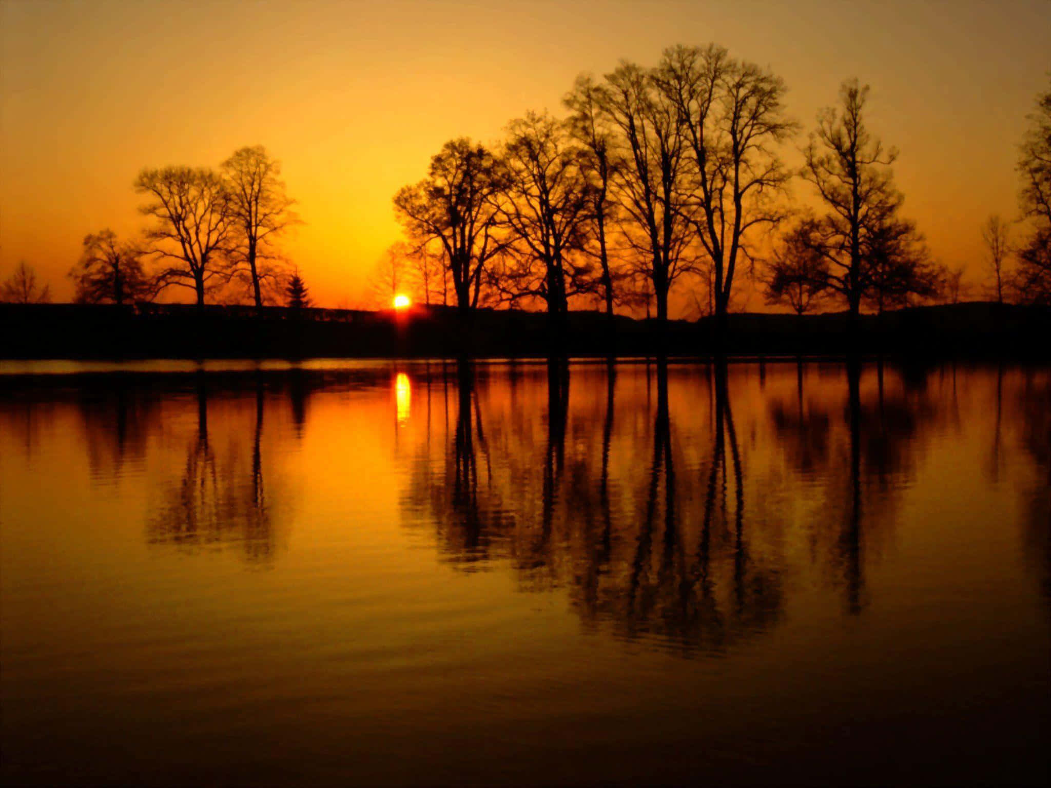 Scenic Desktop 桌布 壁紙 — 剪影樹木在平靜的水面上倒映，夕陽以火熱的橙色和金色色調落下。