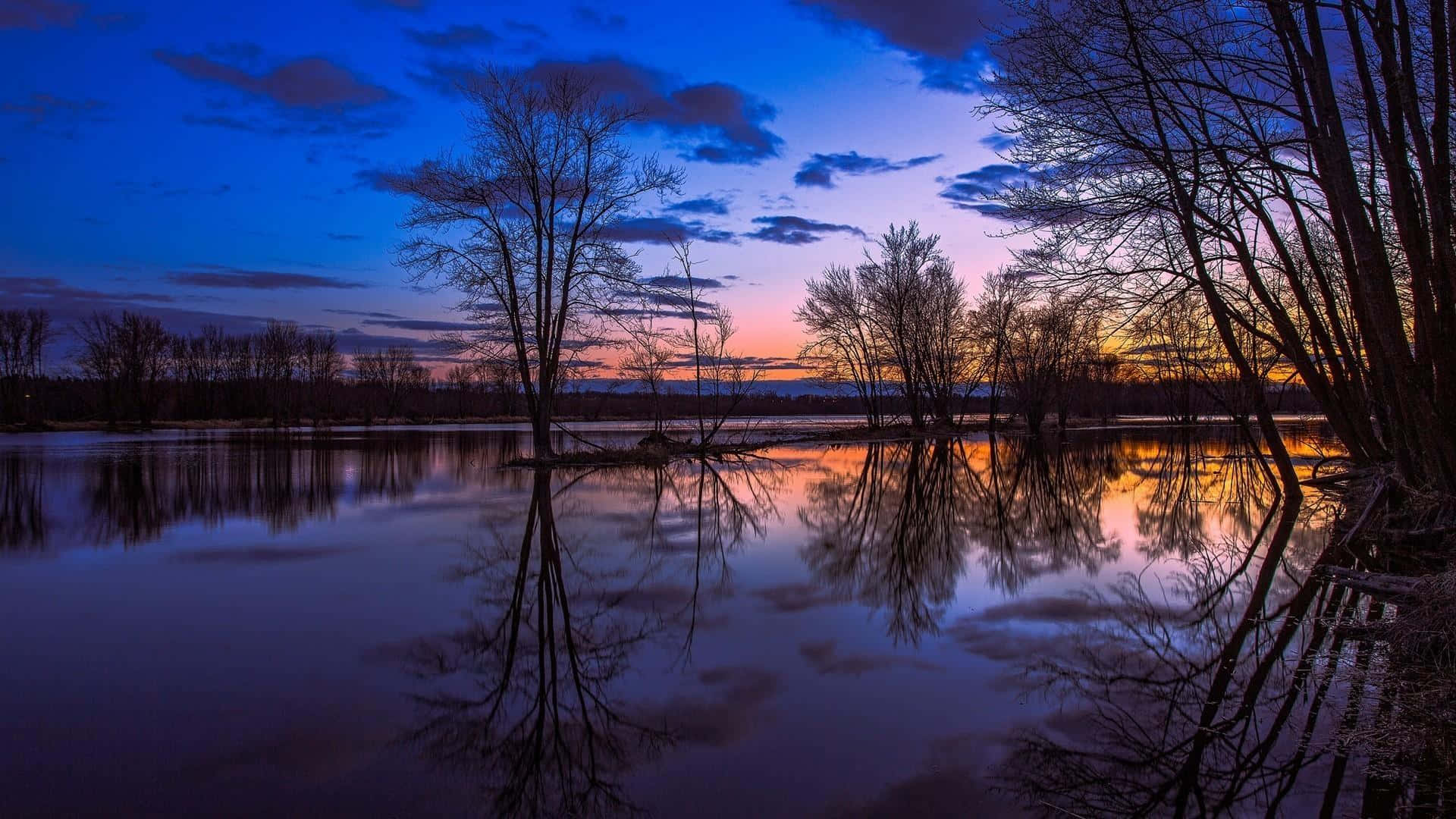 Sunset Reflection 桌布 壁紙 — 剪影樹木在平靜的水面上倒映，天空染上深藍和溫暖的橙色調。