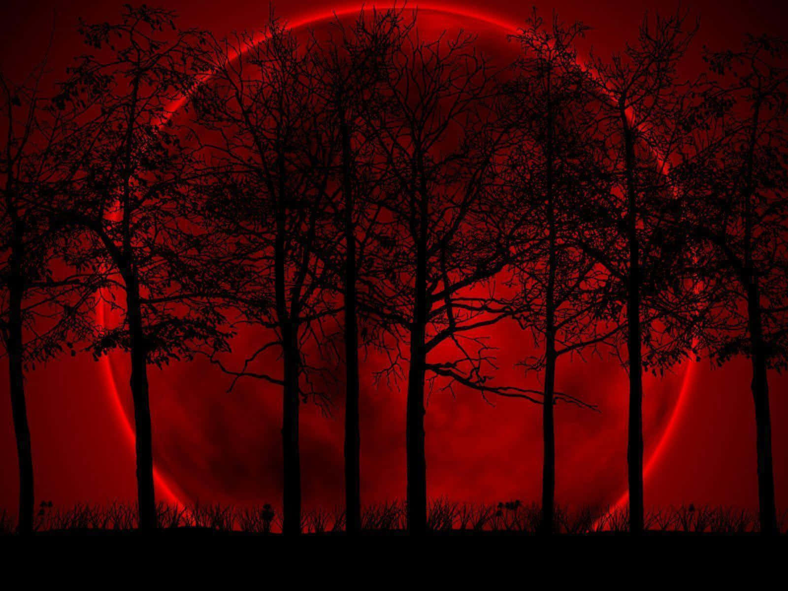 1080p Red And Black 桌布 壁紙 — 剪影樹木在詭異的夜景中，與發光的紅色滿月形成鮮明對比。
