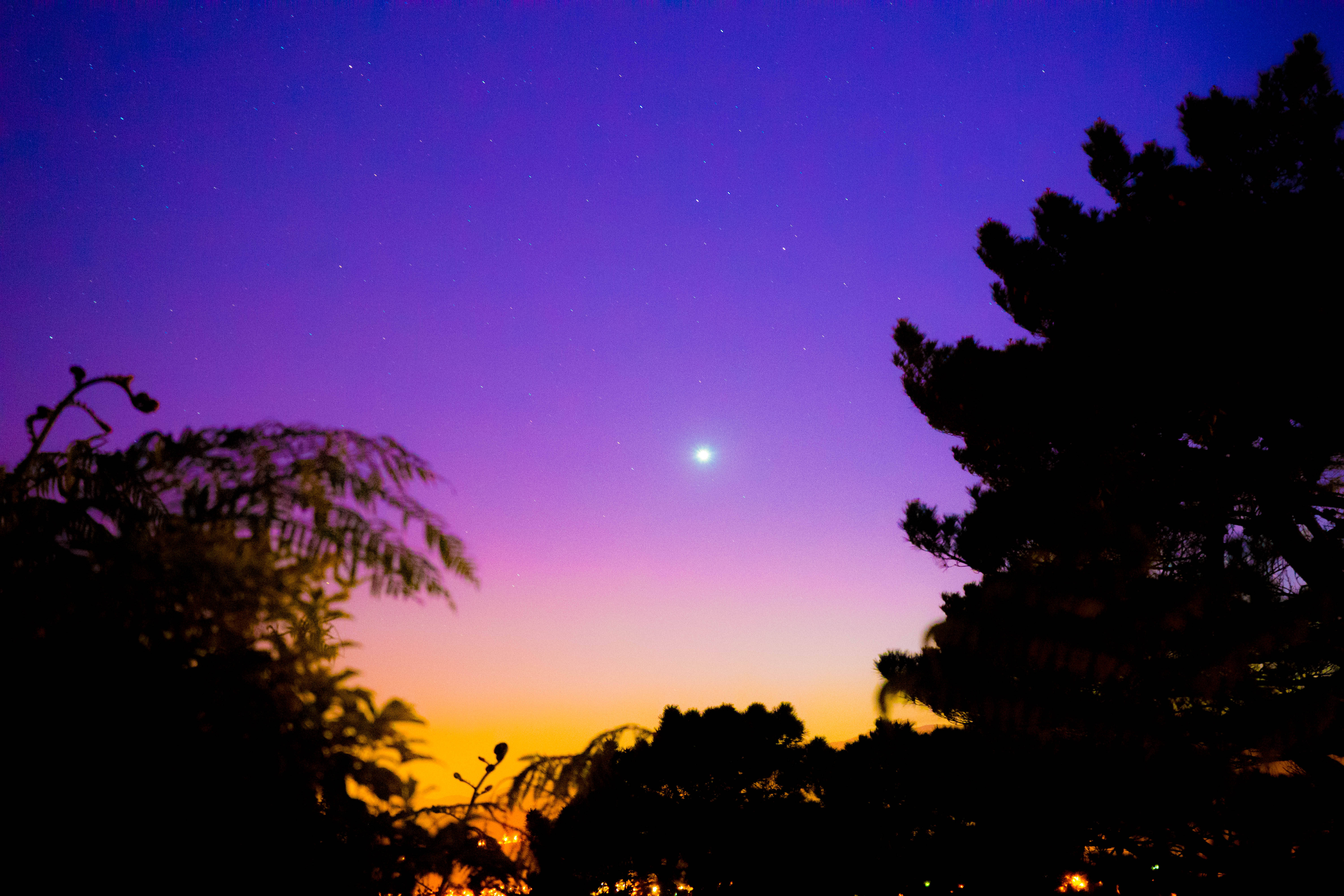夜空 桌布 壁紙 — 剪影樹木框住一個從橙色過渡到紫色的充滿活力的暮色天空，上方有一個明亮的天體在發光。