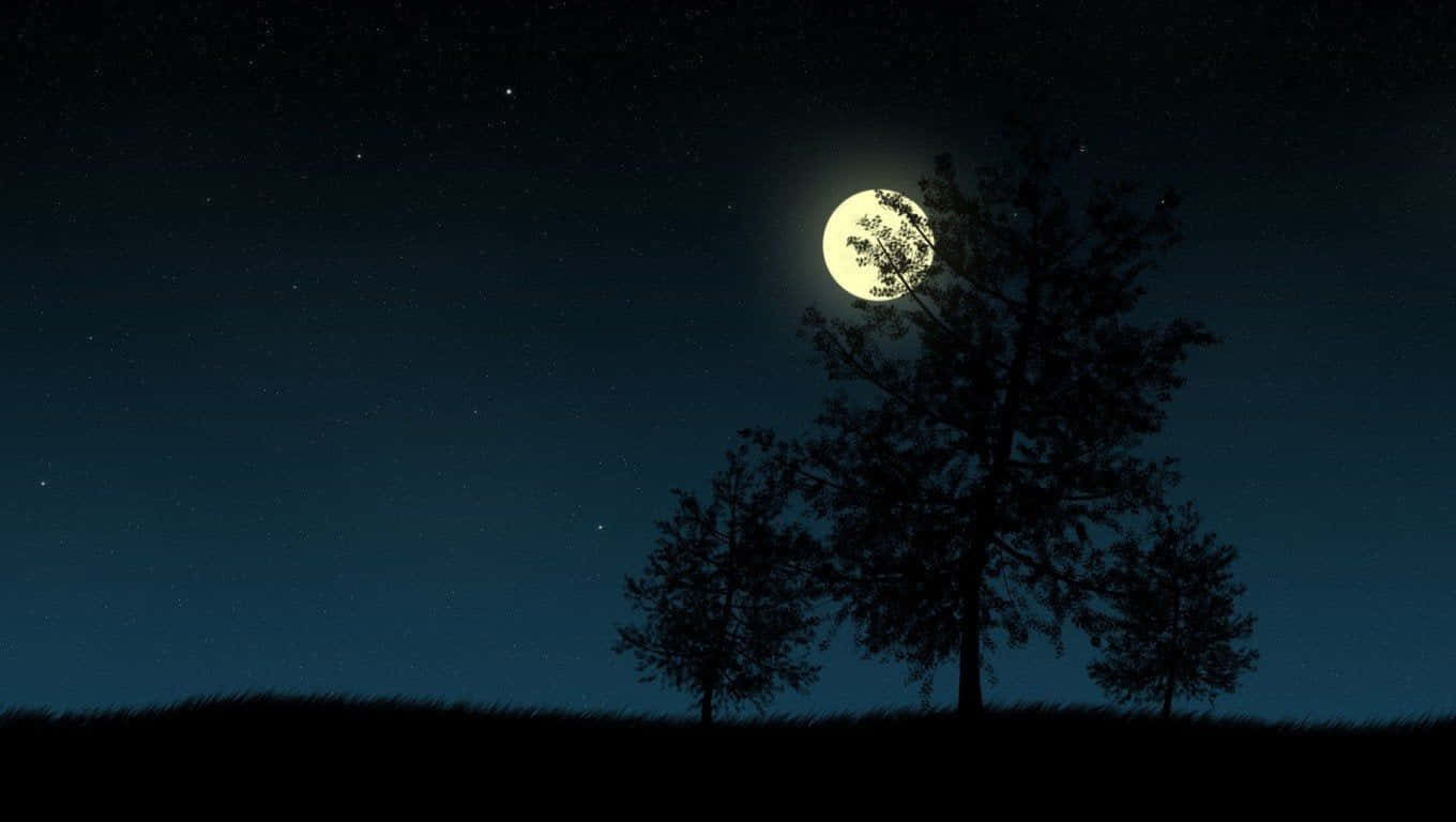 月光 桌布 壁紙 — 剪影樹木矗立在繁星點點的夜空下，明亮的滿月透過樹枝灑下柔和的光芒。