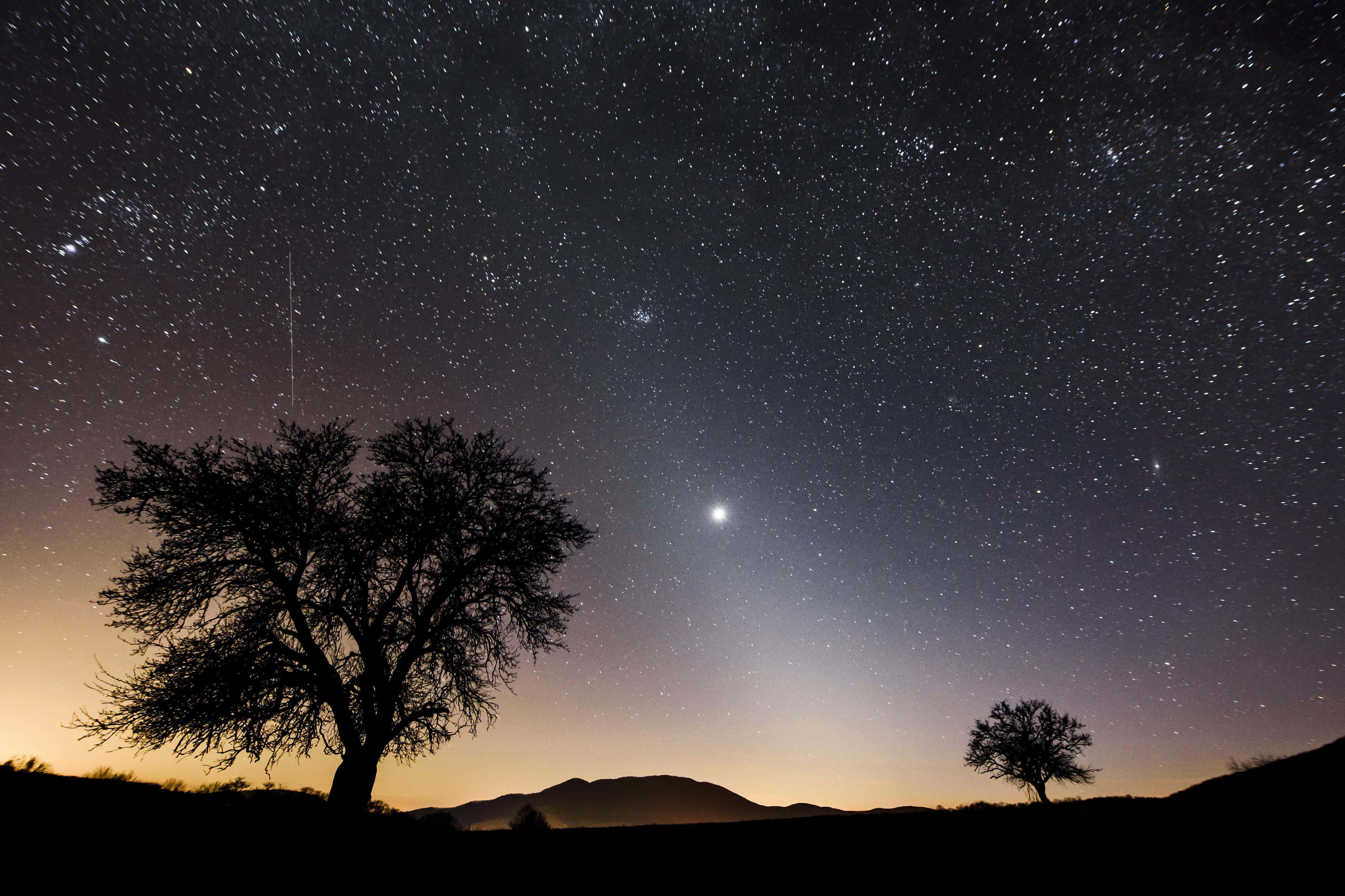 夜空 桌布 壁紙 — 剪影樹木矗立在繁星點點的夜空下，一顆明亮的行星和微弱的極光在遠山之上閃耀。