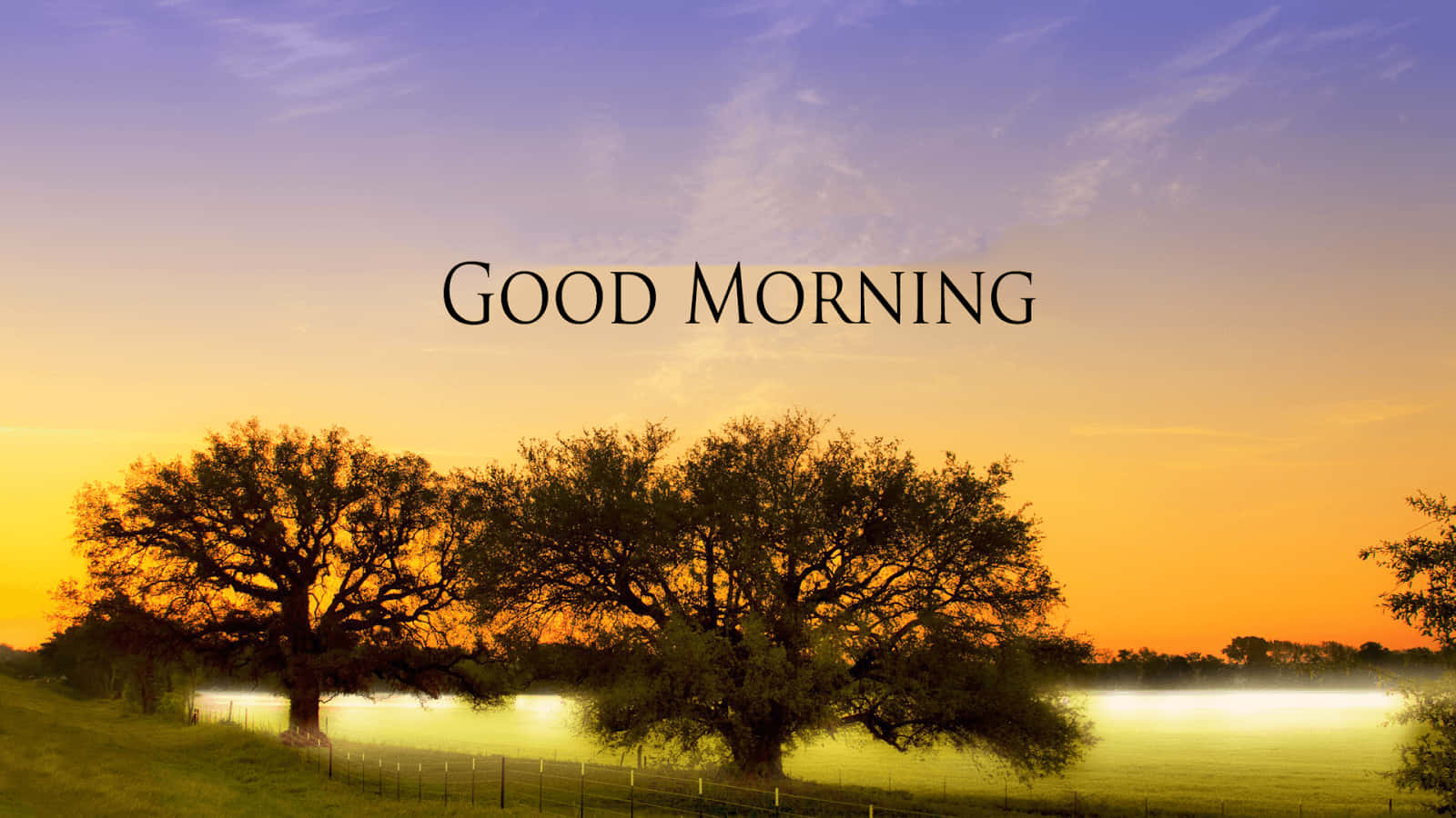 Good Morning 桌布 壁紙 — 剪影樹木站在霧氣瀰漫的田野上，日出時溫暖的橙色天空和紫色雲朵在上方。