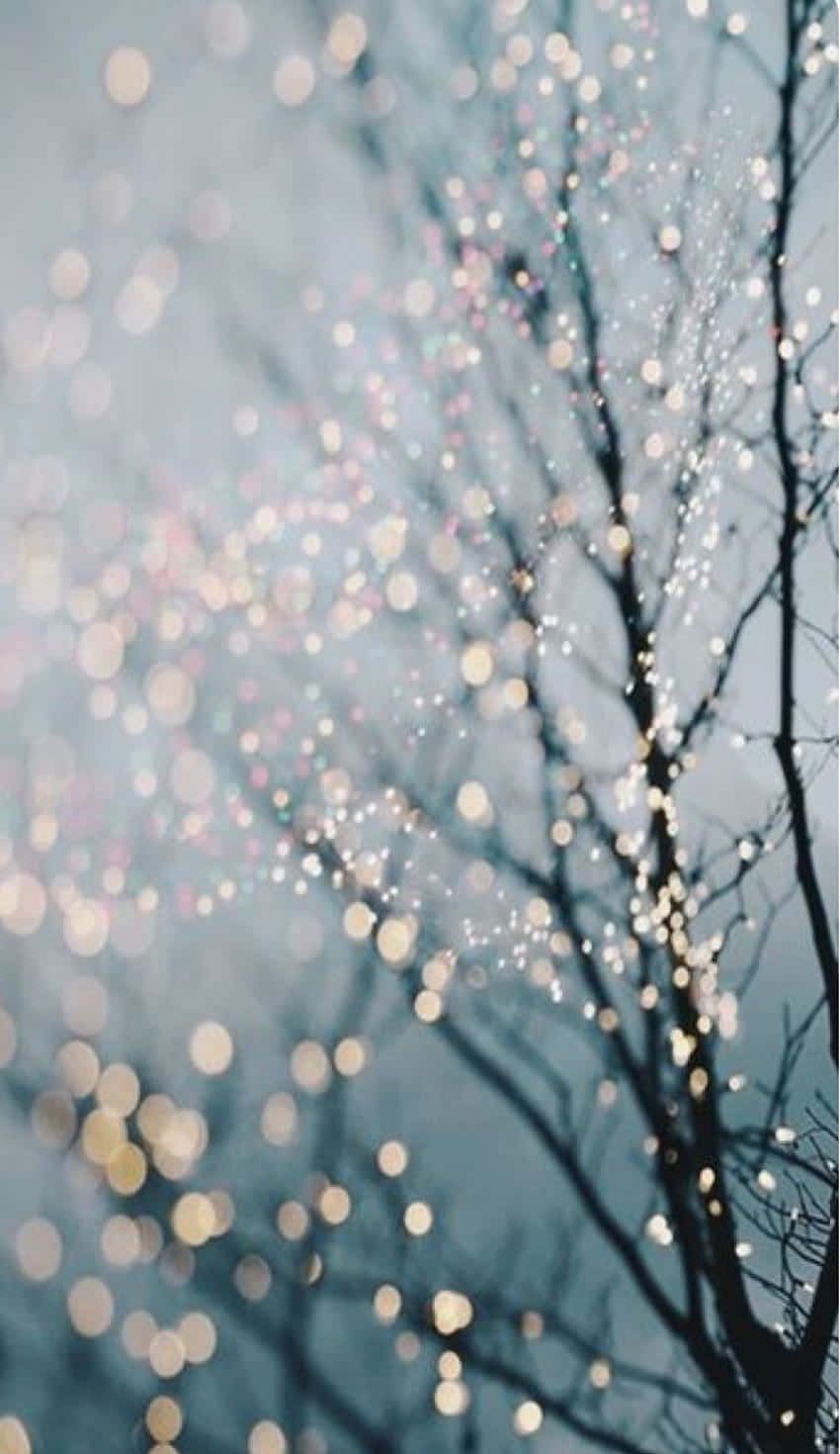 Fairy Lights 桌布 壁紙 — 剪影樹枝點綴著閃爍的散景燈光，映襯著柔和的藍色暮色天空。