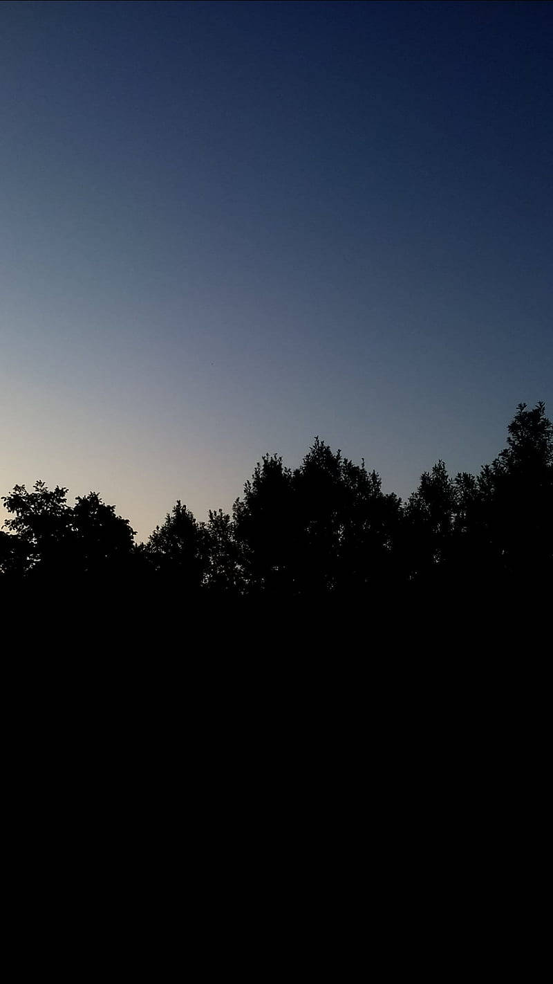 iPhone 桌布 壁紙 — 剪影樹線，背景為由深藍色漸變至柔和薰衣草色的暮色天空。