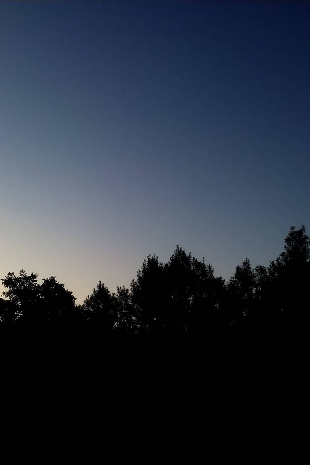 夜空 桌布 壁紙 — 剪影樹線，背景為由深藍色漸變至柔和薰衣草色的暮色天空。