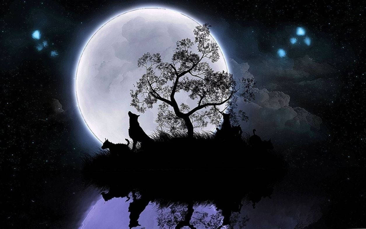 夜空 桌布 壁紙 — 剪影狼群在平靜湖面倒映的巨大發光月亮下嚎叫，四周是繁星點點的夜空。