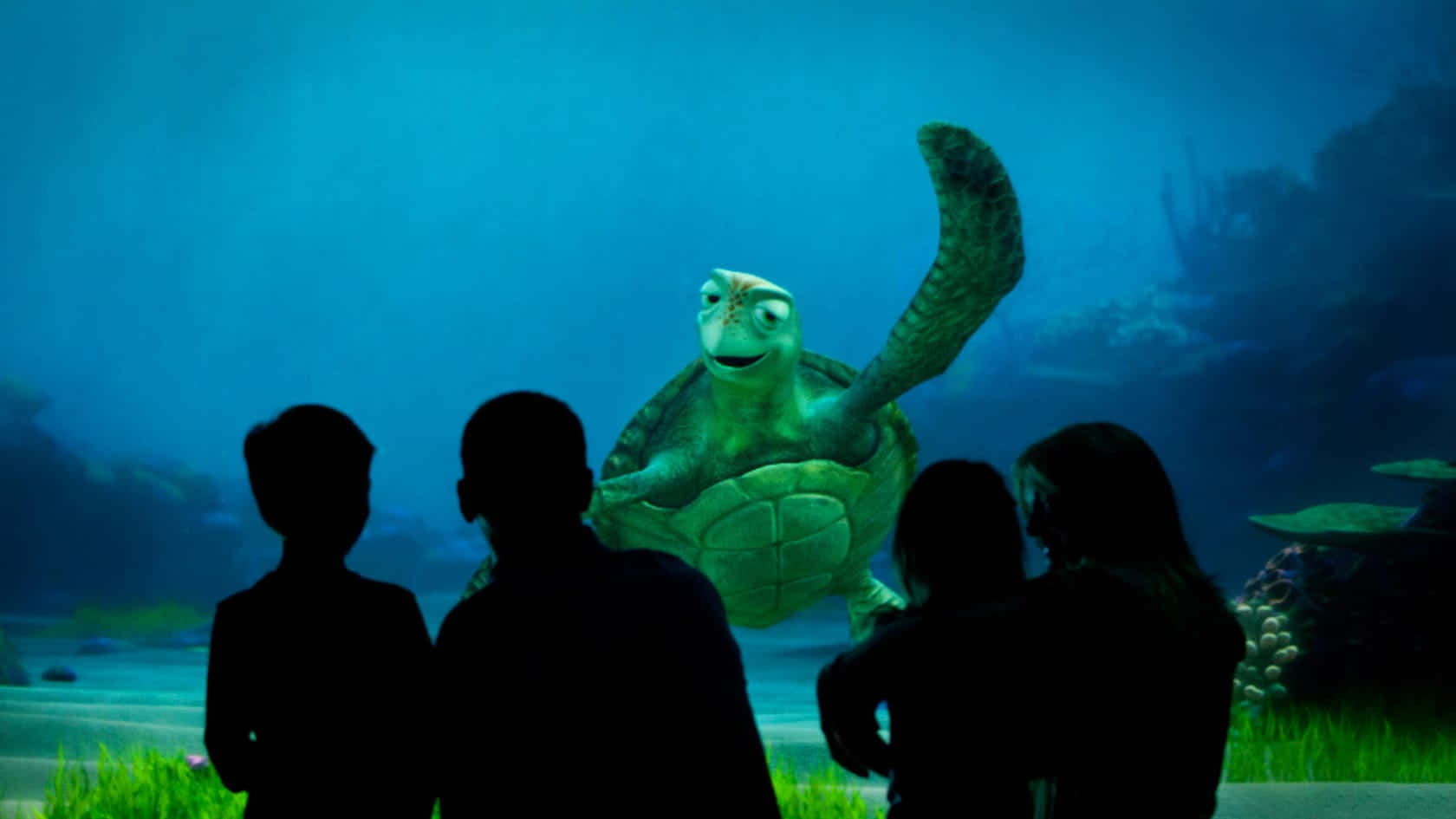 Cartoon Turtle 桌布 壁紙 — 剪影的孩子們驚奇地凝視著一個發光的藍色水族箱中，一隻大型動畫海龜在揮手。