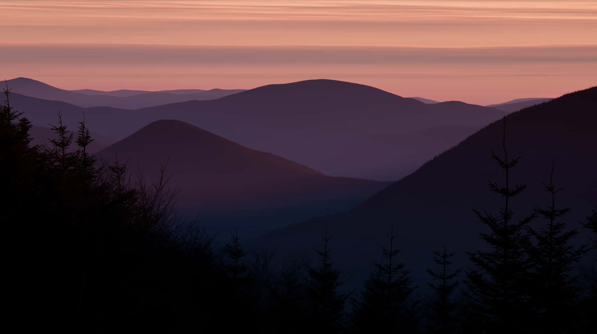 Majestic Mountain Ridge under Twilight Hues 壁紙 — 剪影的常綠樹框住層疊的山脊，在桃色和薰衣草色的漸變日落之下。