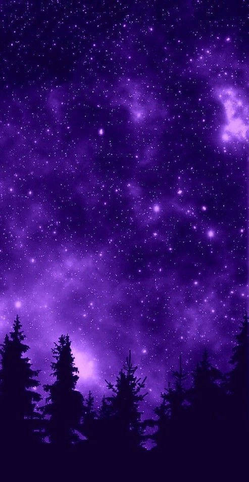 Stars 桌布 壁紙 — 剪影的松樹仰望充滿閃爍星星和發光星雲的充滿活力的紫色星系。