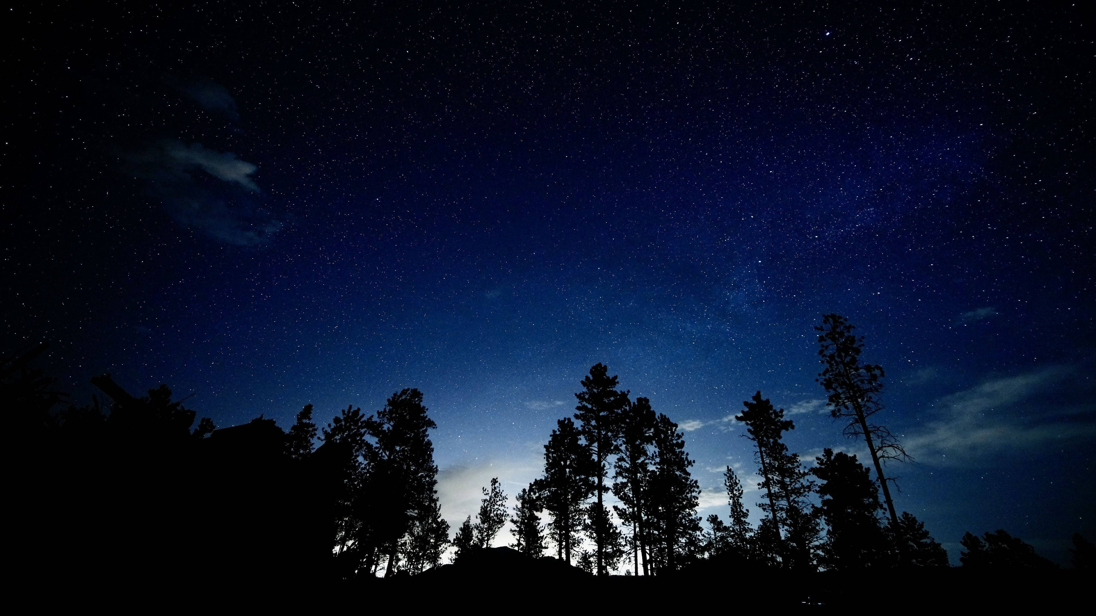 剪影 桌布 壁紙 — 剪影的松樹框住了令人驚嘆的星空夜空，帶有深藍色漸變和縷縷雲彩。