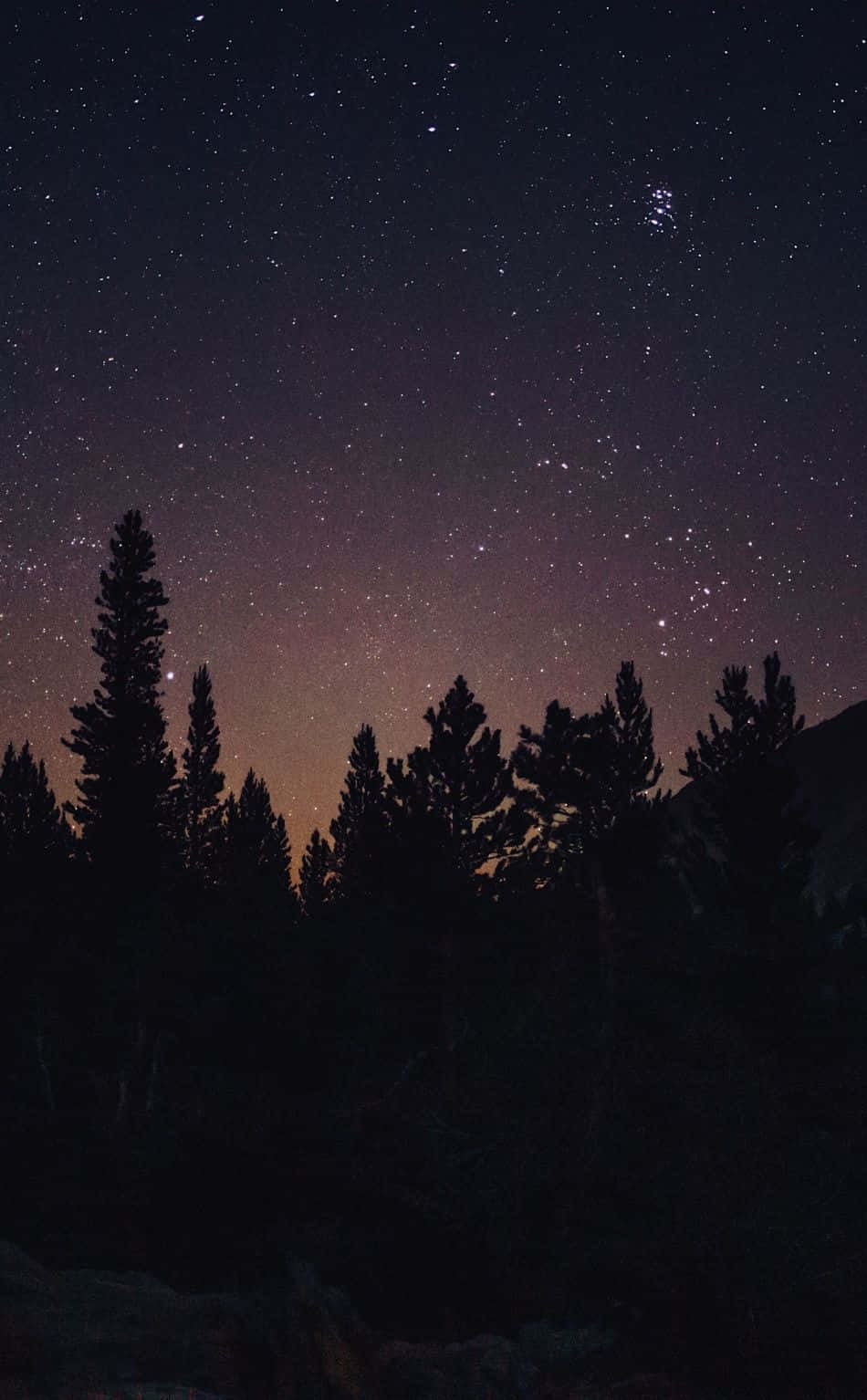 Aesthetic Night Sky 桌布 壁紙 — 剪影的松樹矗立在令人嘆為觀止的星空下，散發著微妙的紫色和橙色調。