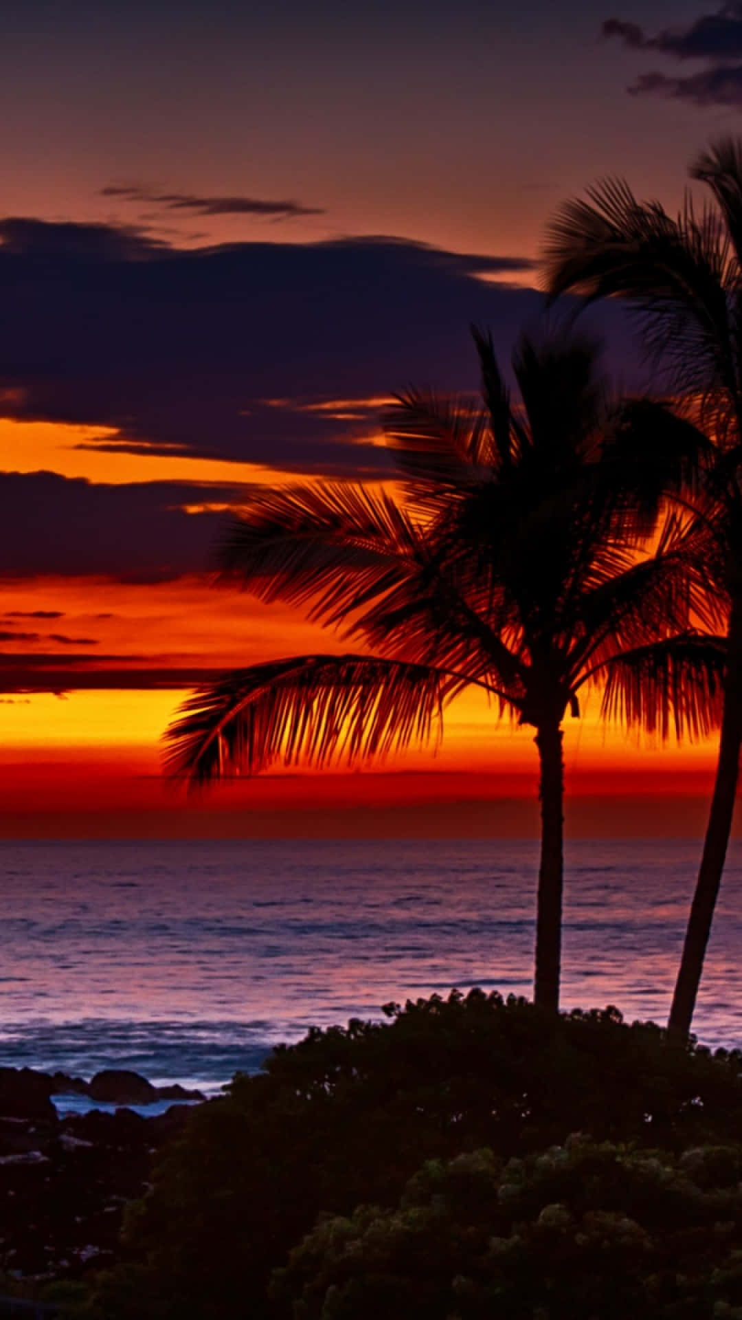 Hawaii iPhone 桌布 壁紙 — 剪影的棕櫚樹在黃昏時分，於平靜的海洋上框出一片火熱的橙色和紫色日落。