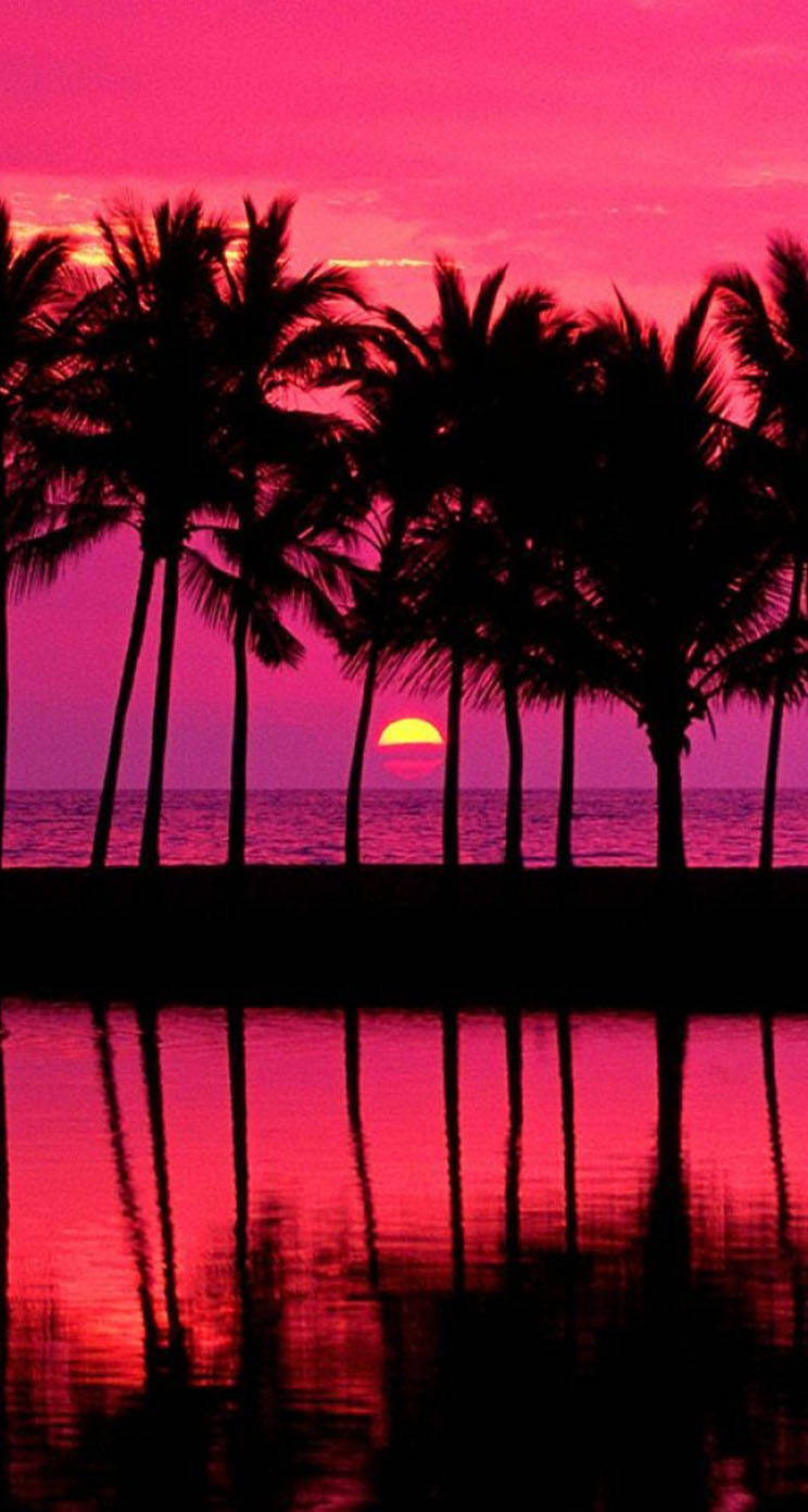 Pink Sunset iPhone 桌布 壁紙 — 剪影的棕櫚樹框住了平靜水面上倒映的鮮豔粉紅色日落。