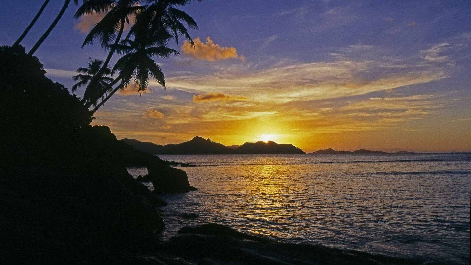 Tropical 桌布 壁紙 — 剪影的棕櫚樹框住了平靜海面上的金色日落，遠方島嶼在充滿活力的天空下。
