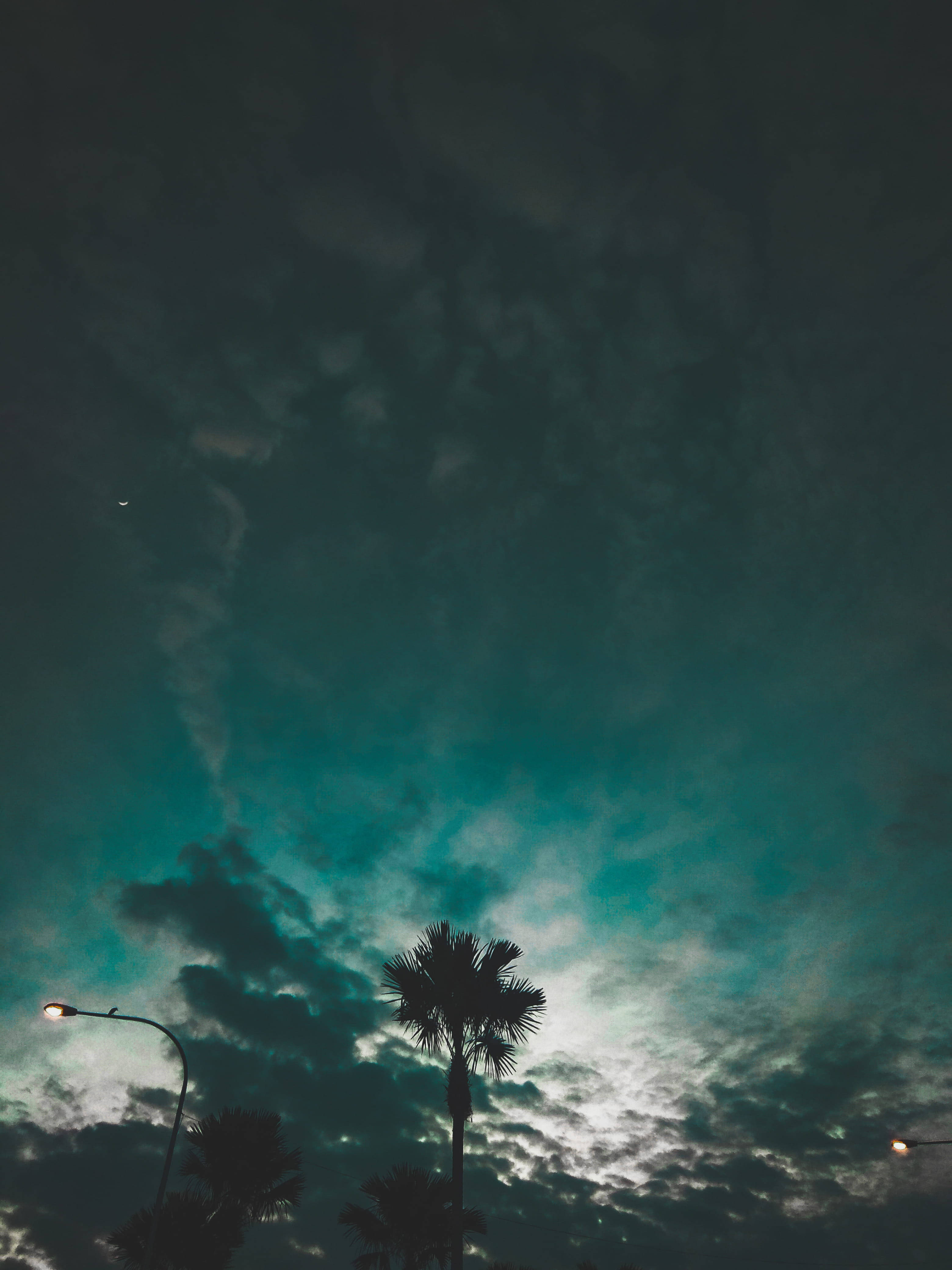 天空 桌布 壁紙 — 剪影的棕櫚樹聳立在戲劇性的青綠色和灰色夜空下，點綴著散落的雲朵和柔和發光的街燈。