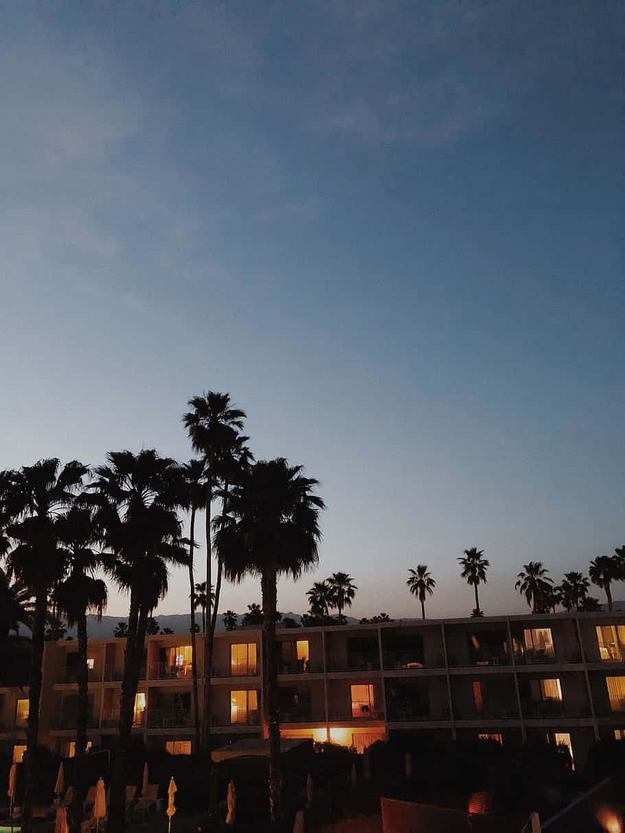 Hotel 桌布 壁紙 — 剪影的棕櫚樹襯托著一座多層建築，窗戶在暮色中閃爍著光芒。