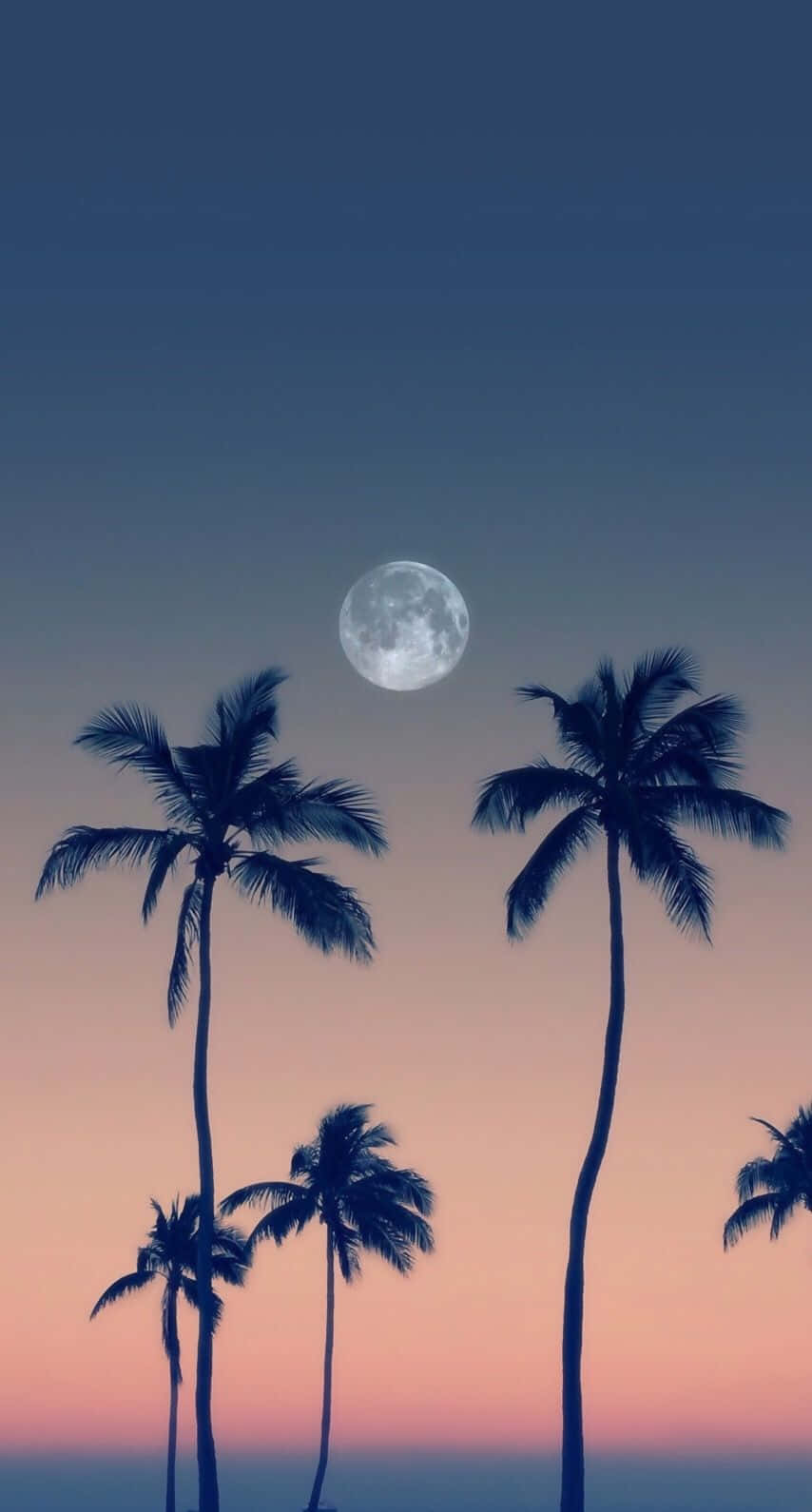 Cute Palm Tree 桌布 壁紙 — 剪影的棕櫚樹襯托著暮色天空中的一輪明月，天空融合了深藍與柔和的粉紅色。