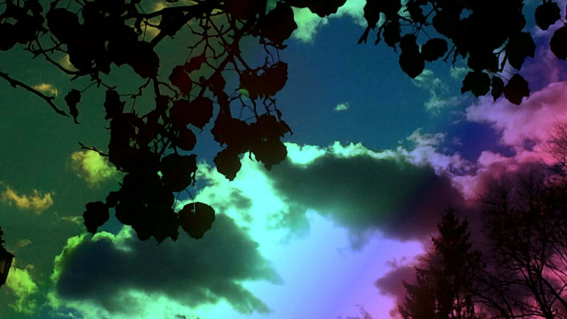 Trippy Sky 桌布 壁紙 — 剪影的樹枝框住了一個超現實的天空，天空被塗上了電光藍綠色、紫色和洋紅色的雲彩。