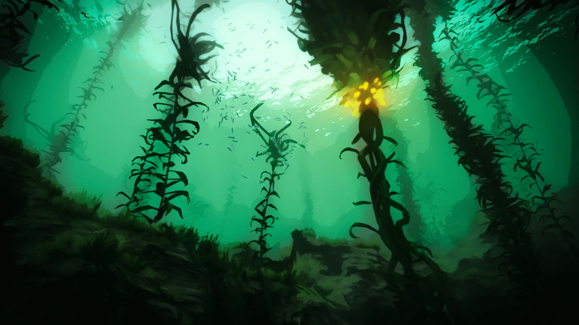 Sea Weed 桌布 壁紙 — 剪影的海藻林散發著空靈的綠光，潛水員探索陽光照耀的水下峽谷。