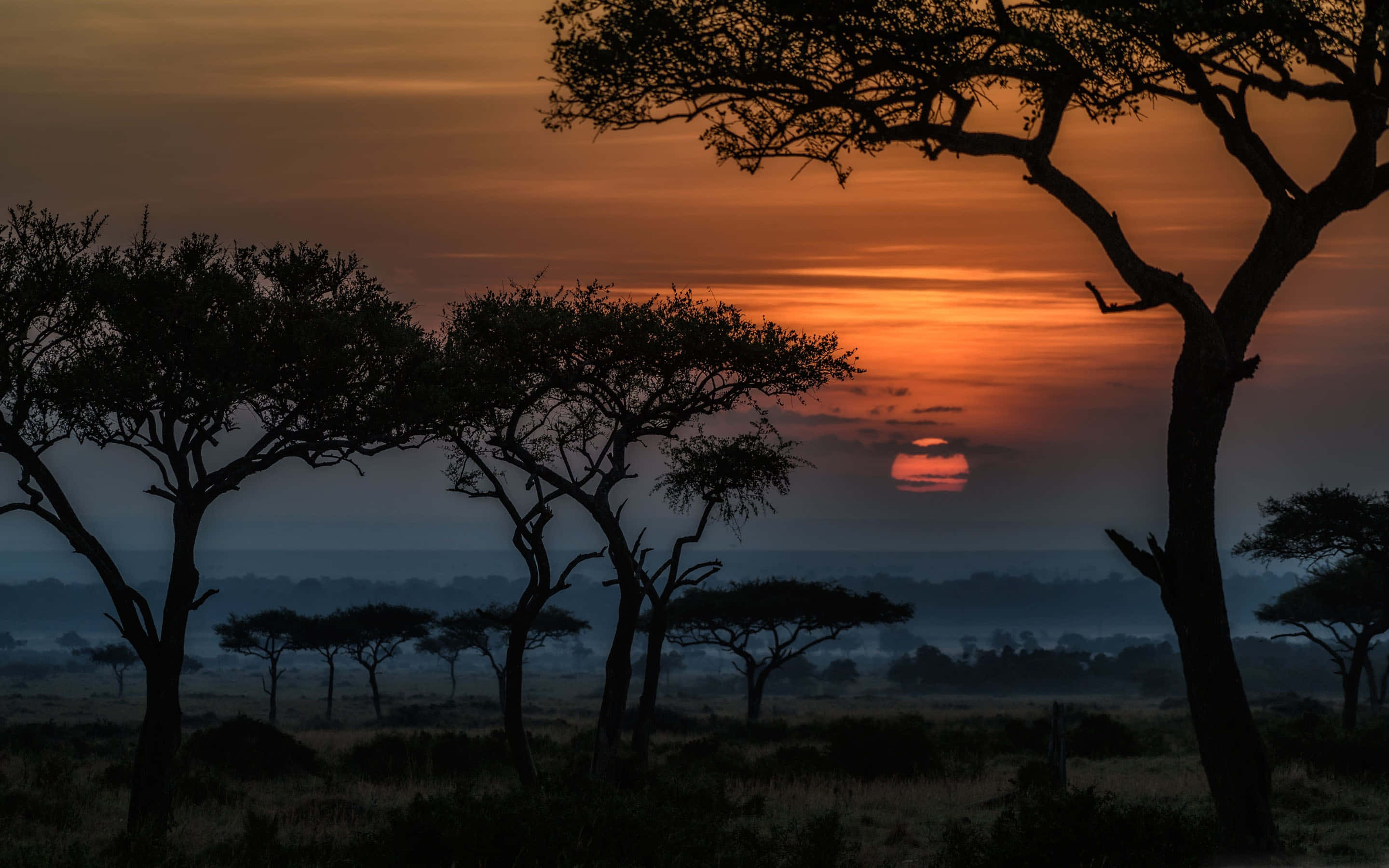 Kenya 桌布 壁紙 — 剪影的相思樹框住一個火熱的橙色日落，背景是霧氣瀰漫的非洲稀樹草原地平線。