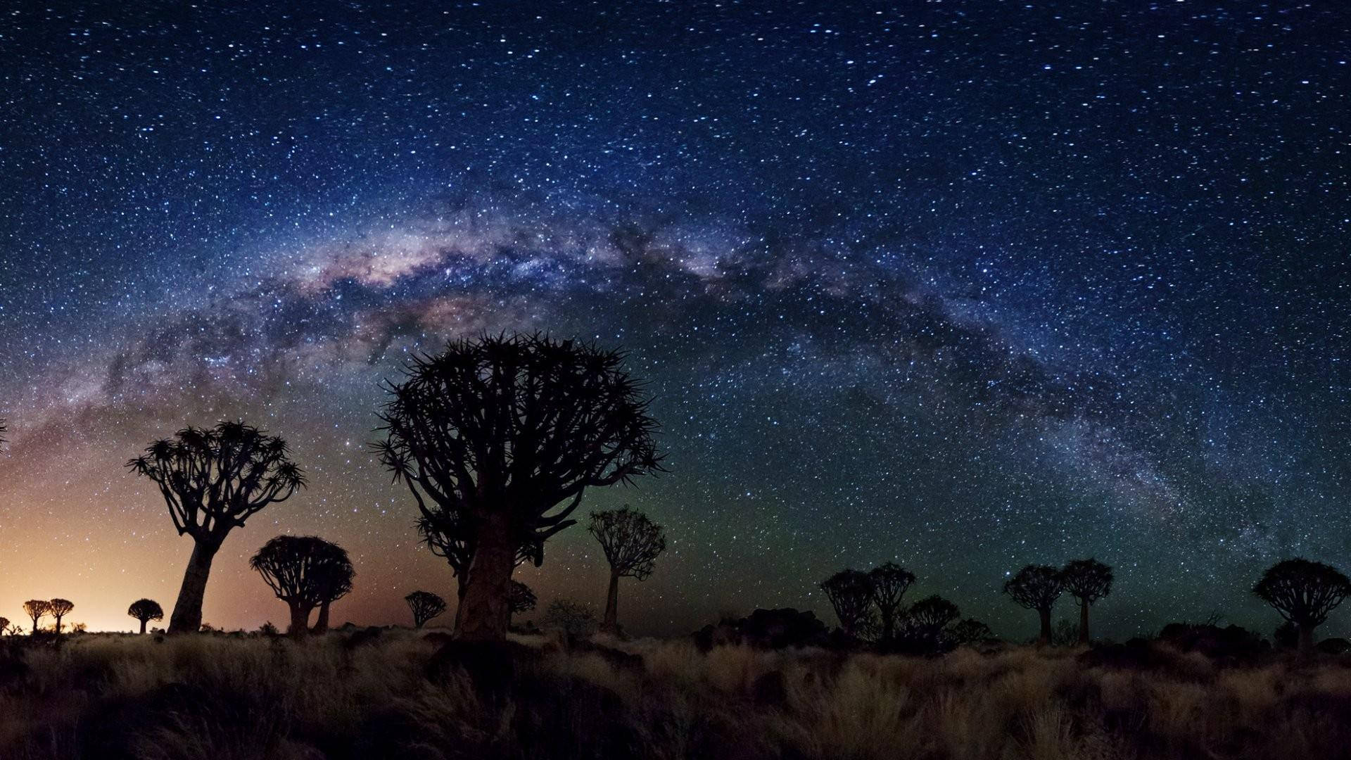 NASA 動態圖片 桌布 壁紙 — 剪影的箭袋樹在令人驚嘆的星空下高聳，銀河在頭頂拱起。