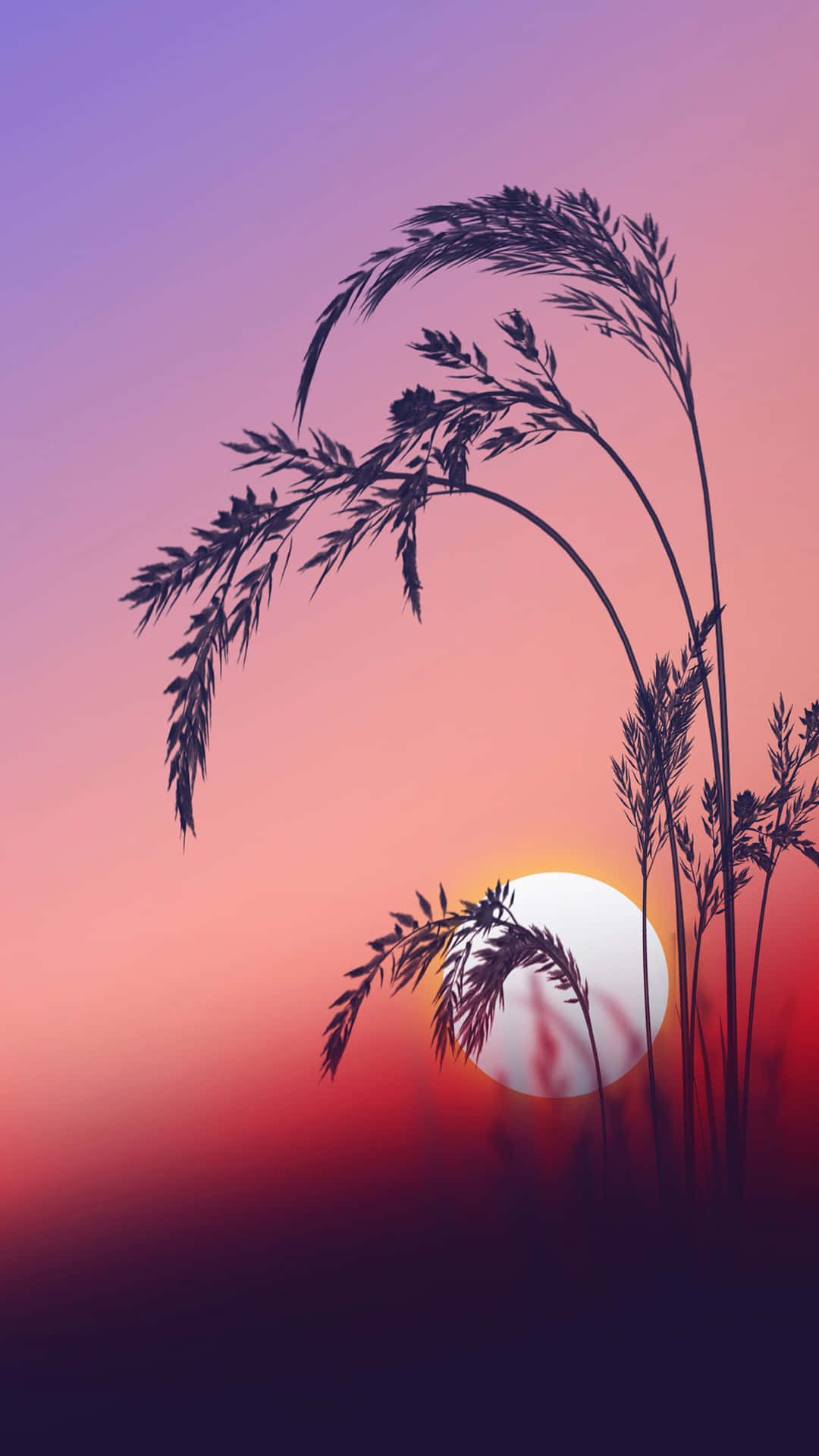 Sunrise iPhone 桌布 壁紙 — 剪影的草在漸變的日落天空（從紫色過渡到火熱的橙色和紅色）中輕輕搖曳。