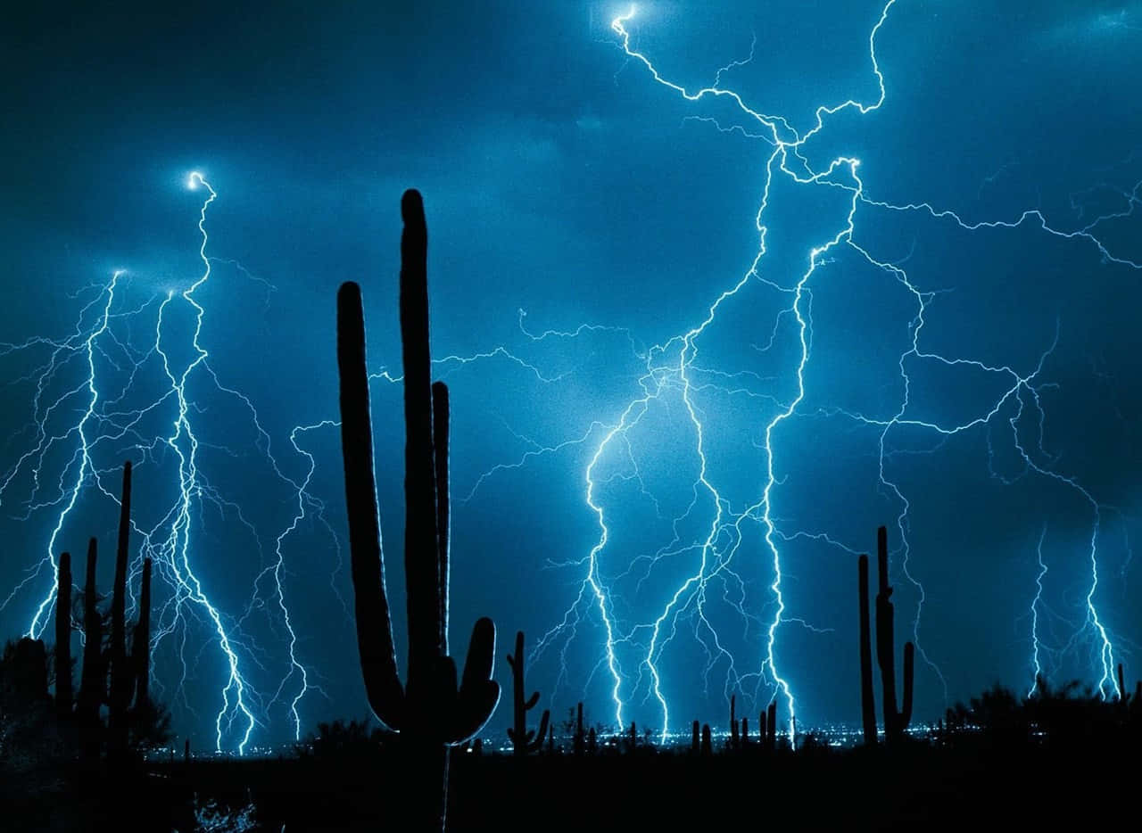Weather 桌布 壁紙 — 剪影的薩瓜羅仙人掌在佈滿鮮藍色閃電的天空下顯得格外突出。