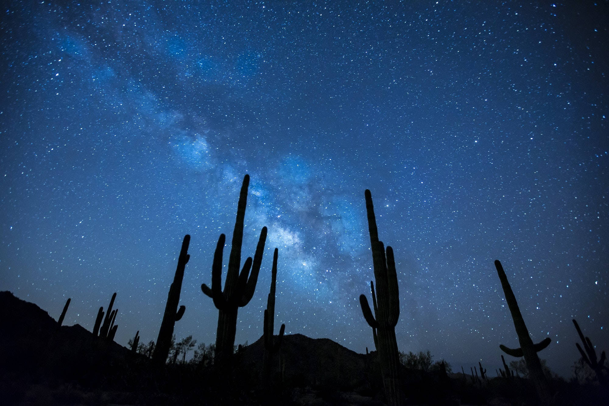 Cactus 桌布 壁紙 — 剪影的薩瓜羅仙人掌聳立在令人嘆為觀止的星空下，銀河在深藍色中閃耀。
