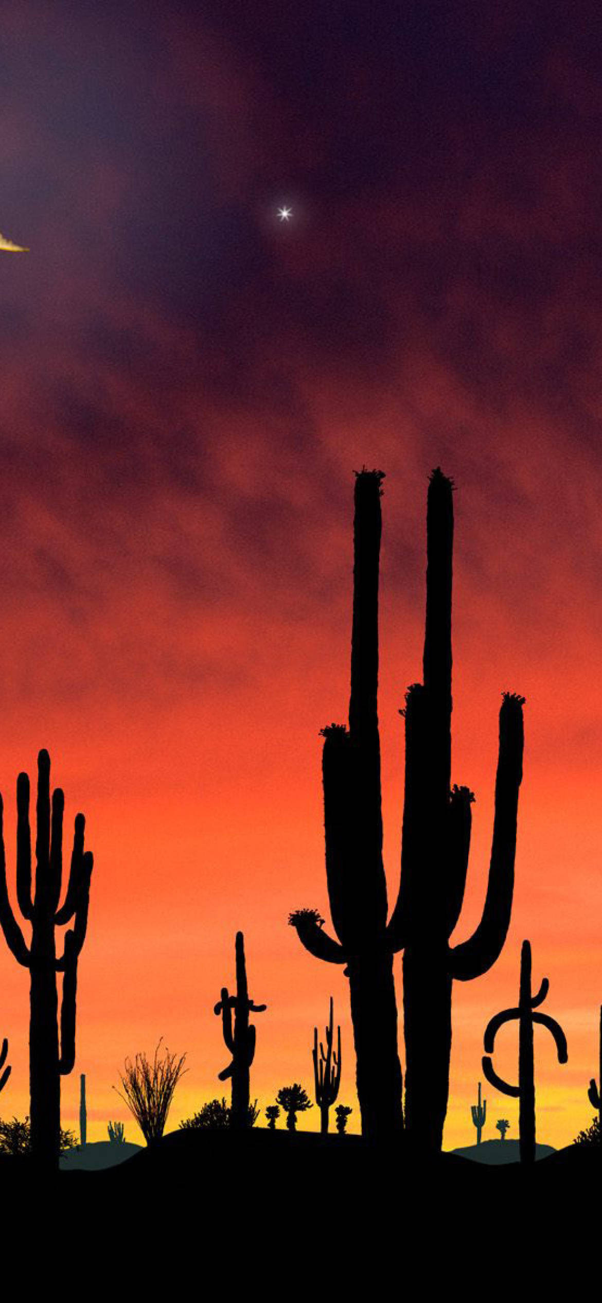 Cactus 桌布 壁紙 — 剪影的薩瓜羅仙人掌高聳在火紅的日落天空下，可見新月和星星。