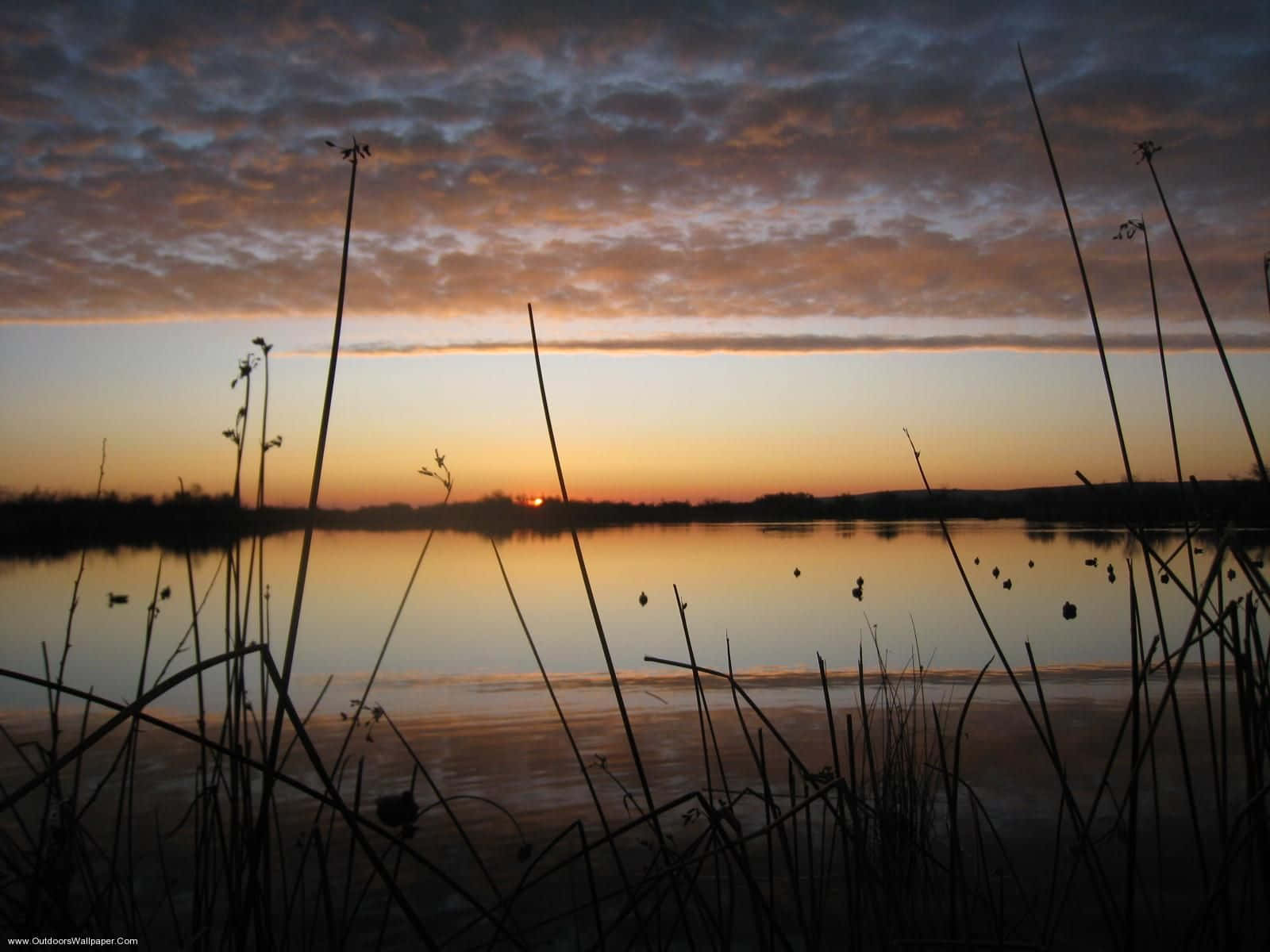 Duck Hunting Desktop 桌布 壁紙 — 剪影的蘆葦框住一個寧靜的湖泊，倒映著帶有柔和橙色和紫色雲彩的熾熱日落天空。