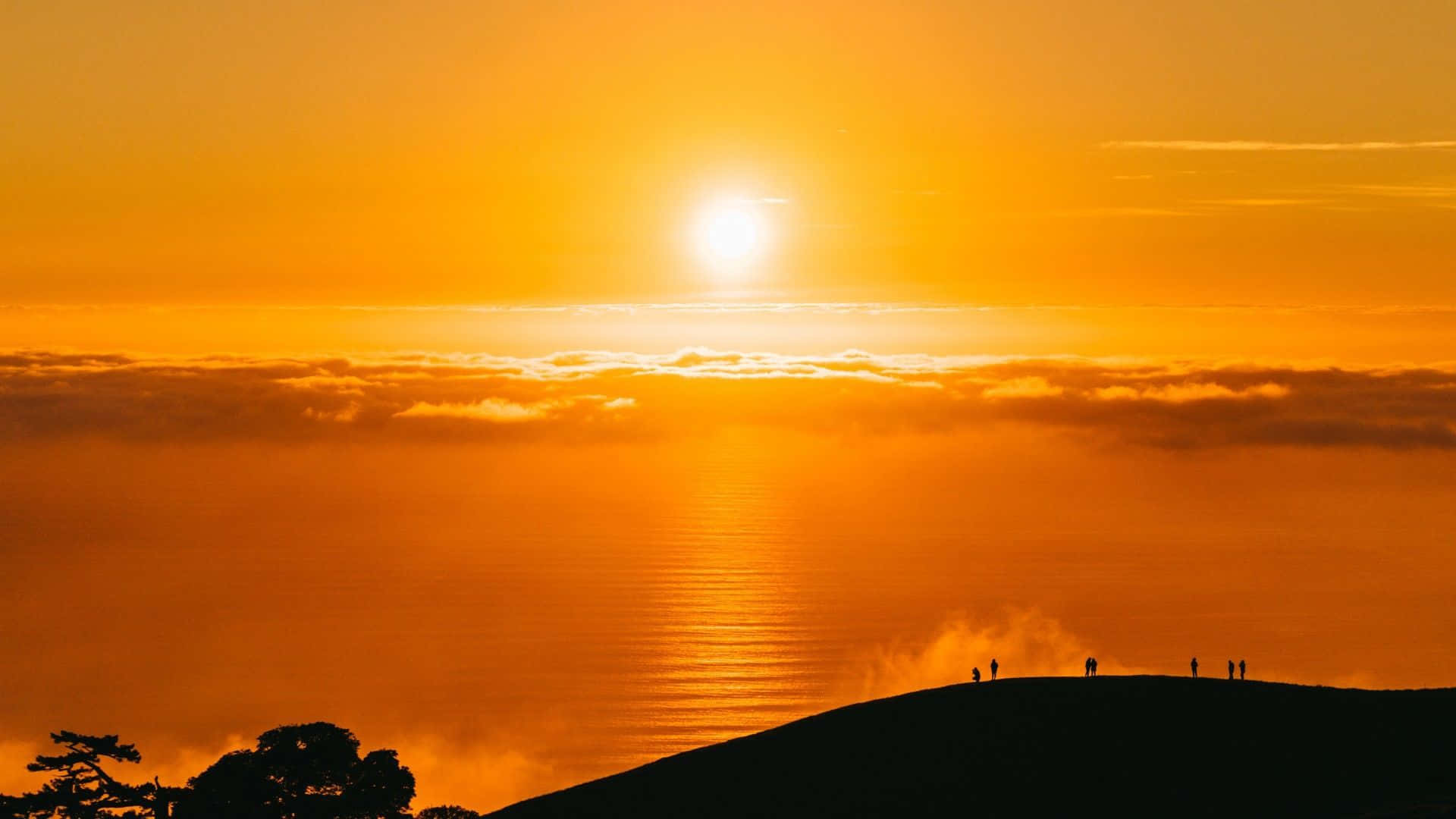 Yellow Sunset 桌布 壁紙 — 剪影的遠足者站在山頂上，觀看太陽在金色雲海上冉冉升起。