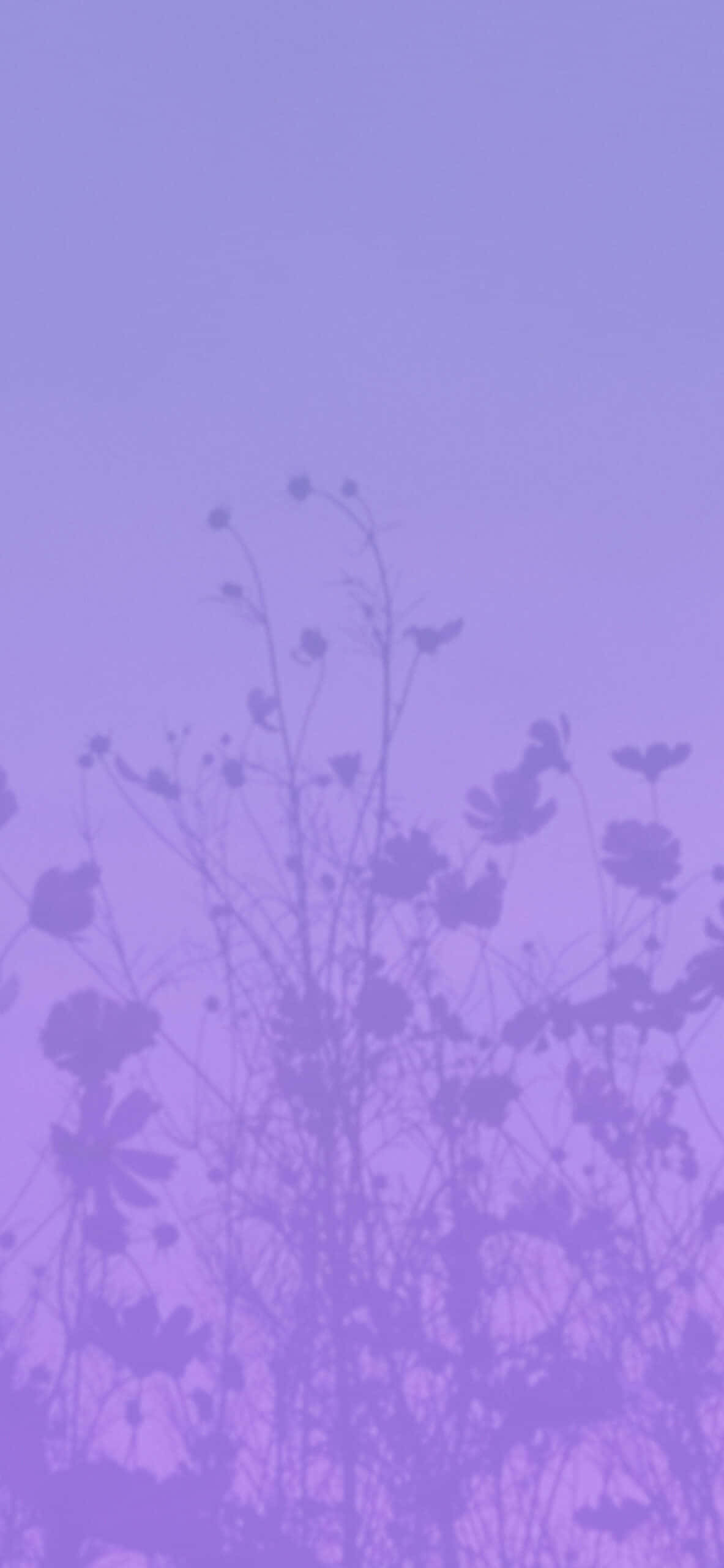 Aesthetic Purple 桌布 壁紙 — 剪影的野花在夢幻般的單色漸變中，伸展在柔和的薰衣草色天空下。