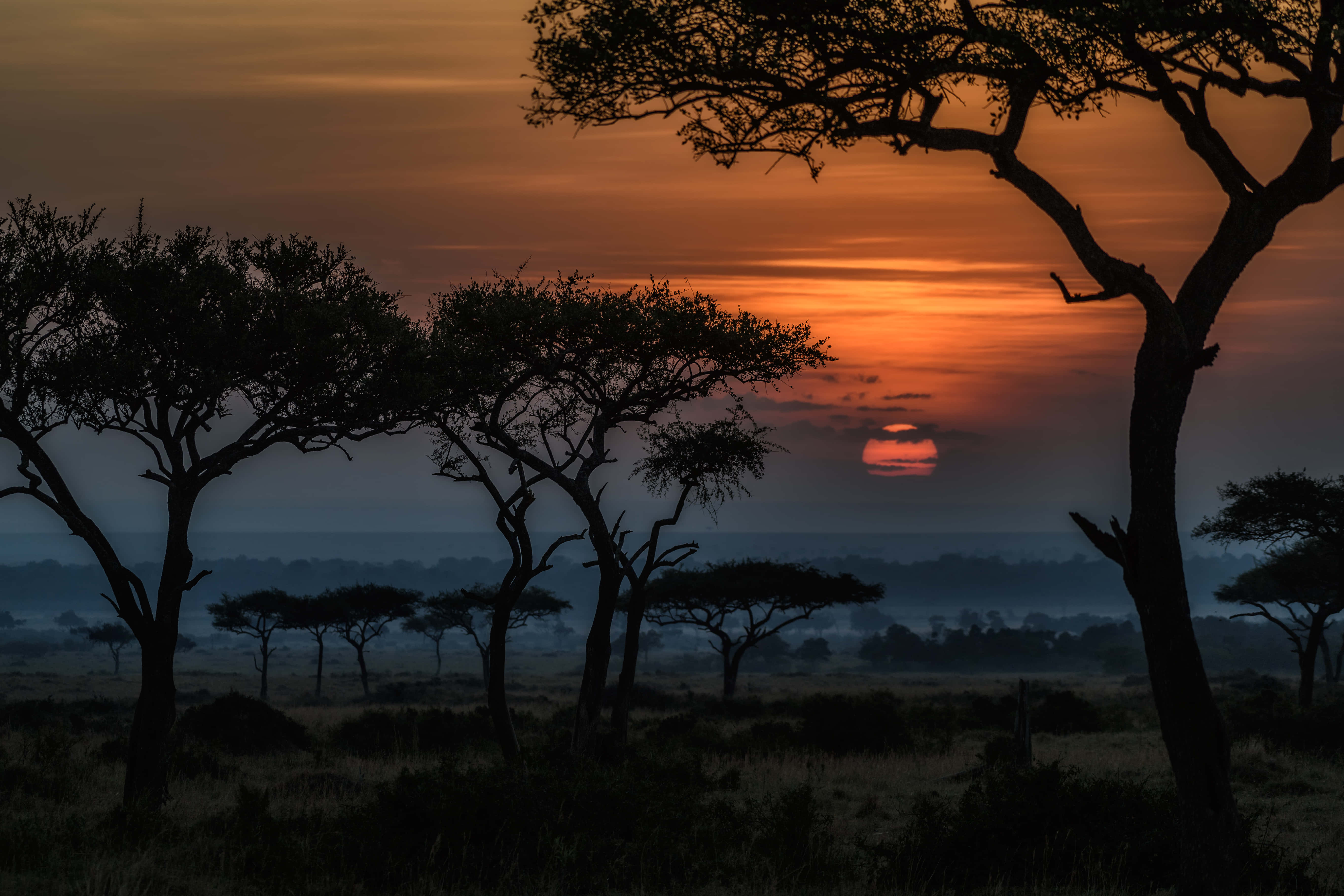 Africa HD 桌布 壁紙 — 剪影的金合歡樹框住了霧氣瀰漫的非洲大草原上熾熱的橙色日落。