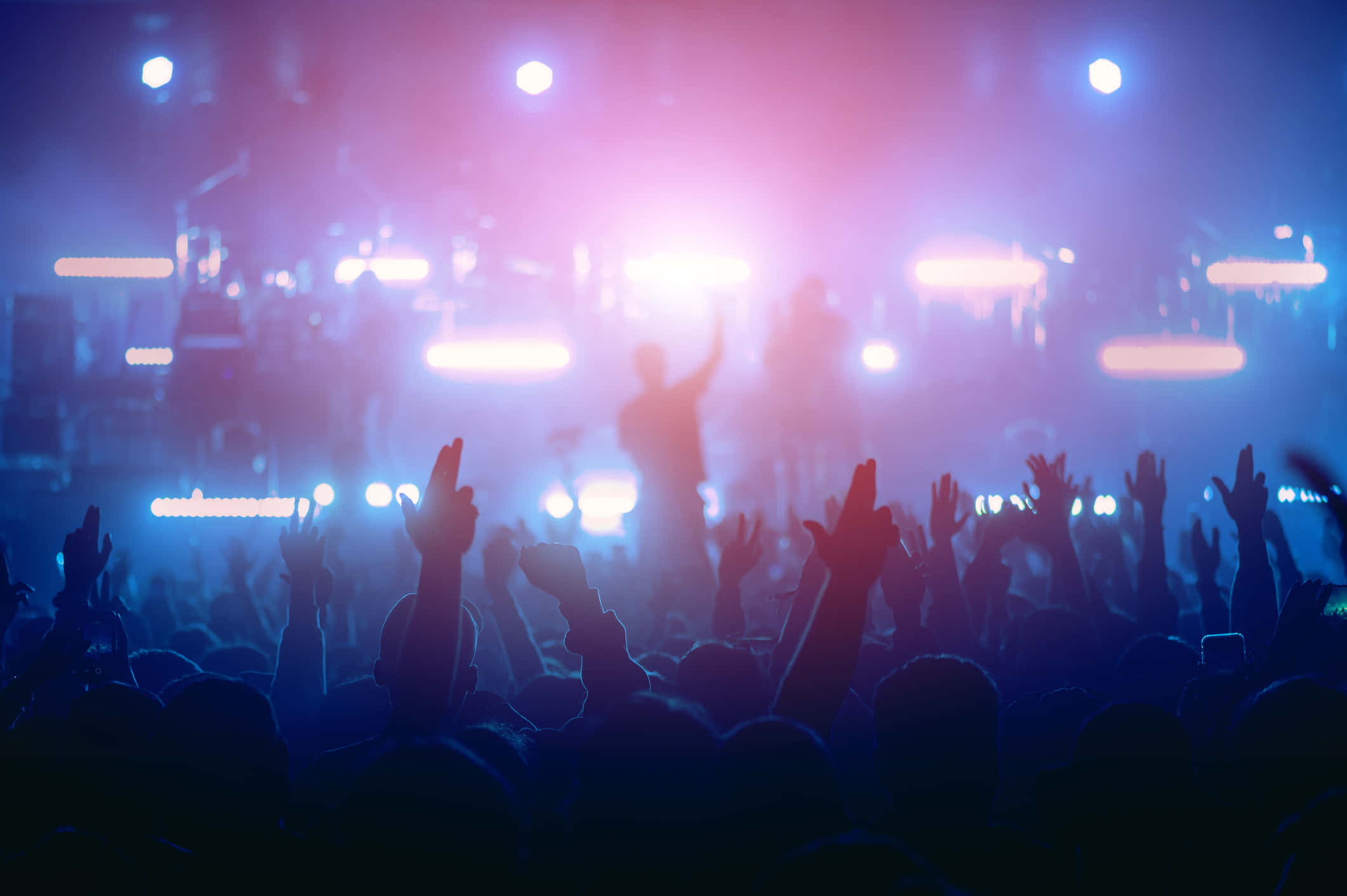 Nightclub 桌布 壁紙 — 剪影的音樂會人群在充滿活力的紫色和藍色舞台燈光與煙霧中舉起雙手。