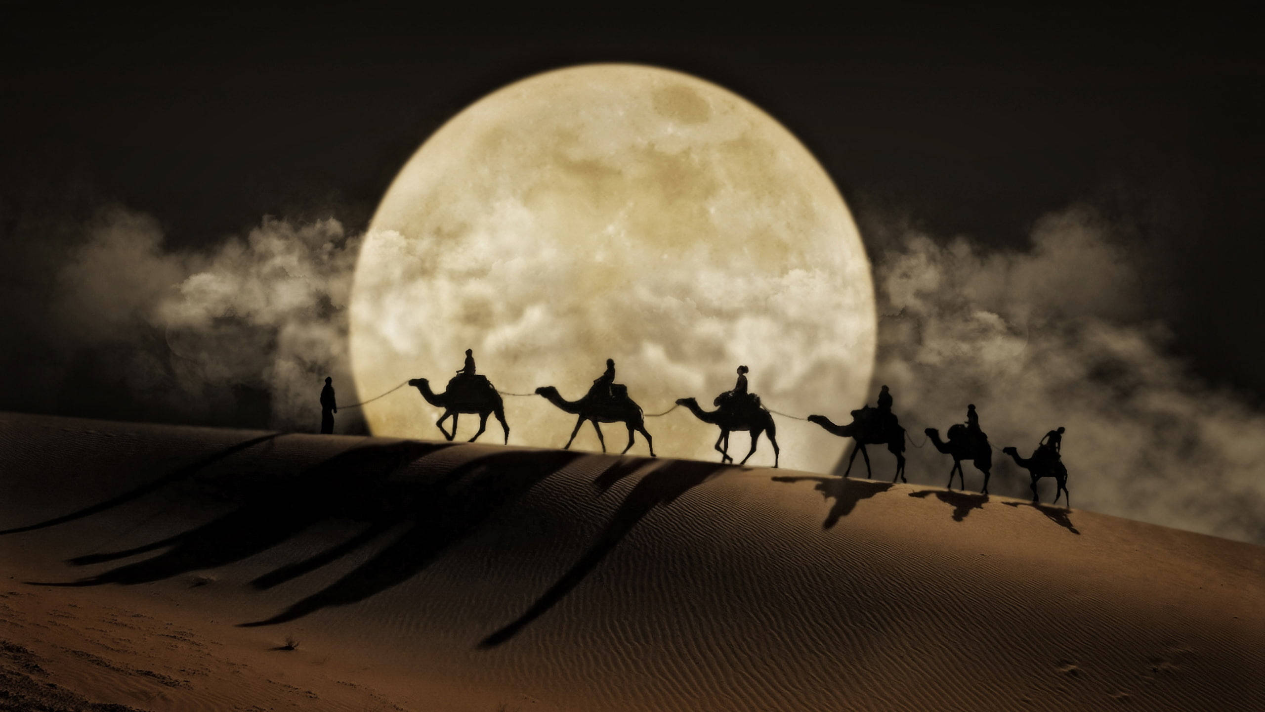 Desert 桌布 壁紙 — 剪影的駱駝和騎手商隊在巨大明亮的滿月下穿越沙漠沙丘。