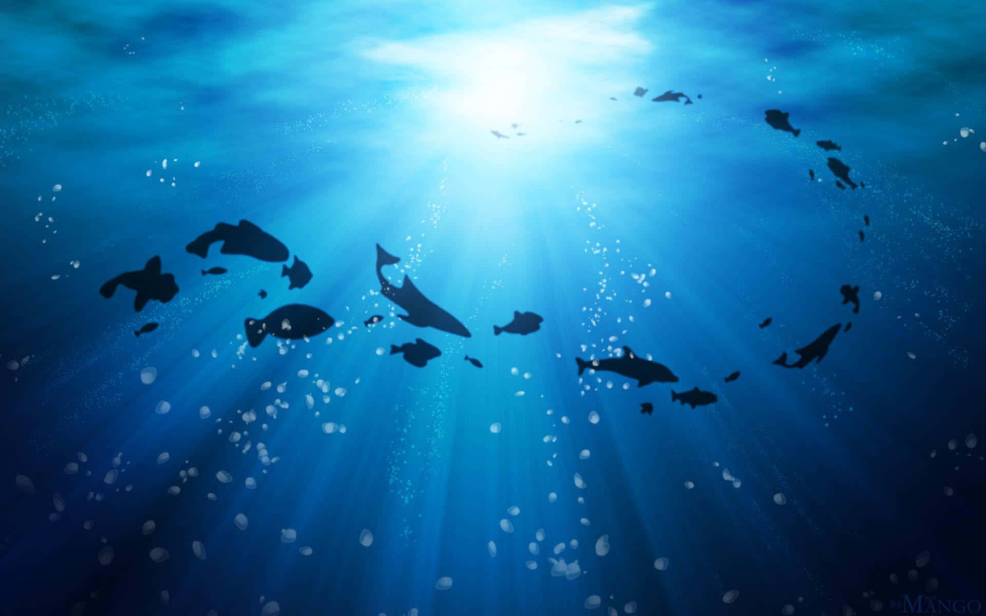 海洋藍 桌布 壁紙 — 剪影的鯊魚和魚在燦爛的藍色海洋中游動，陽光從上方照射下來。