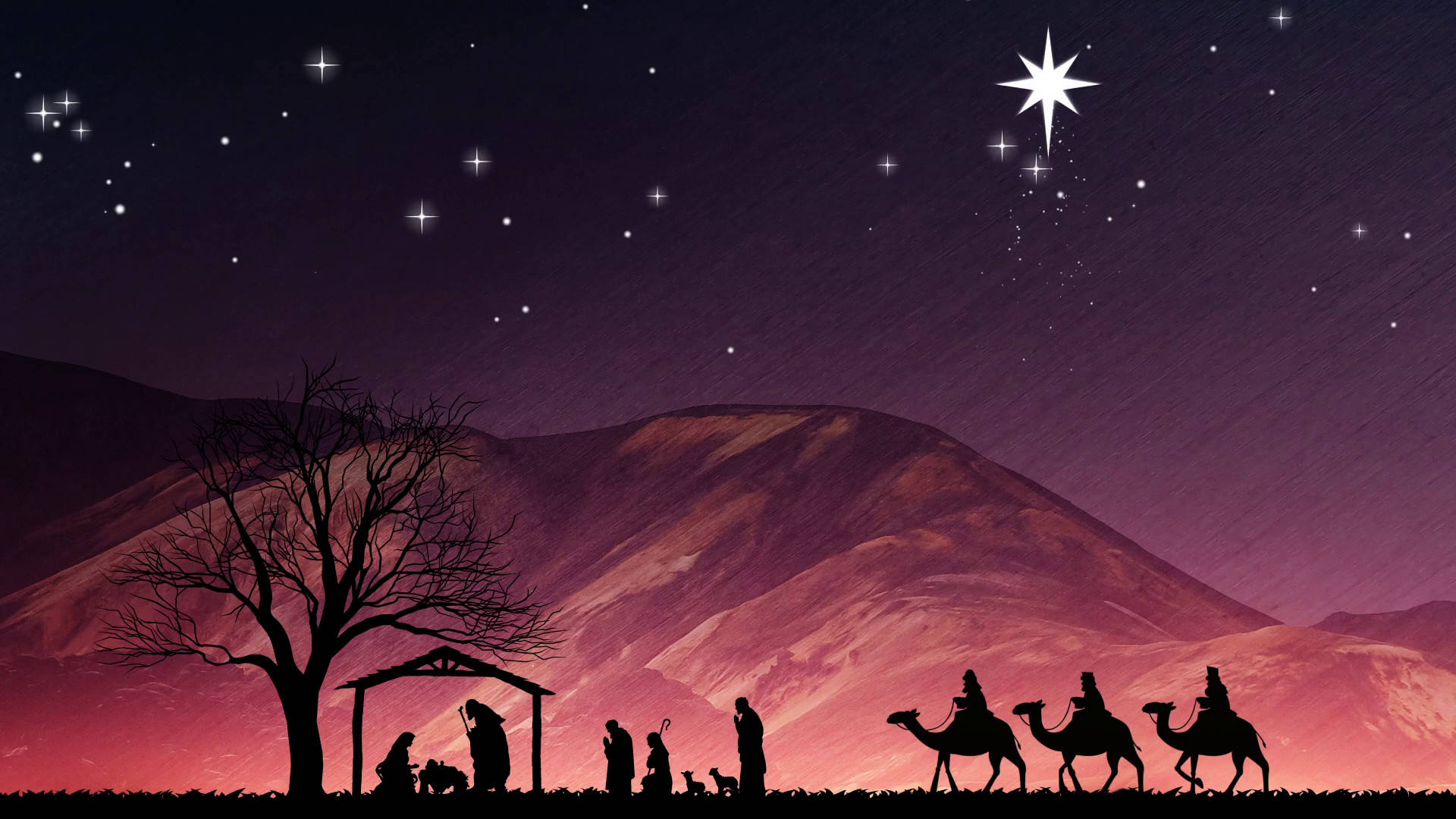 Nativity 桌布 壁紙 — 剪影耶穌誕生場景，三位智者騎駱駝，背景是繁星點點的暮色天空和紫色山脈。