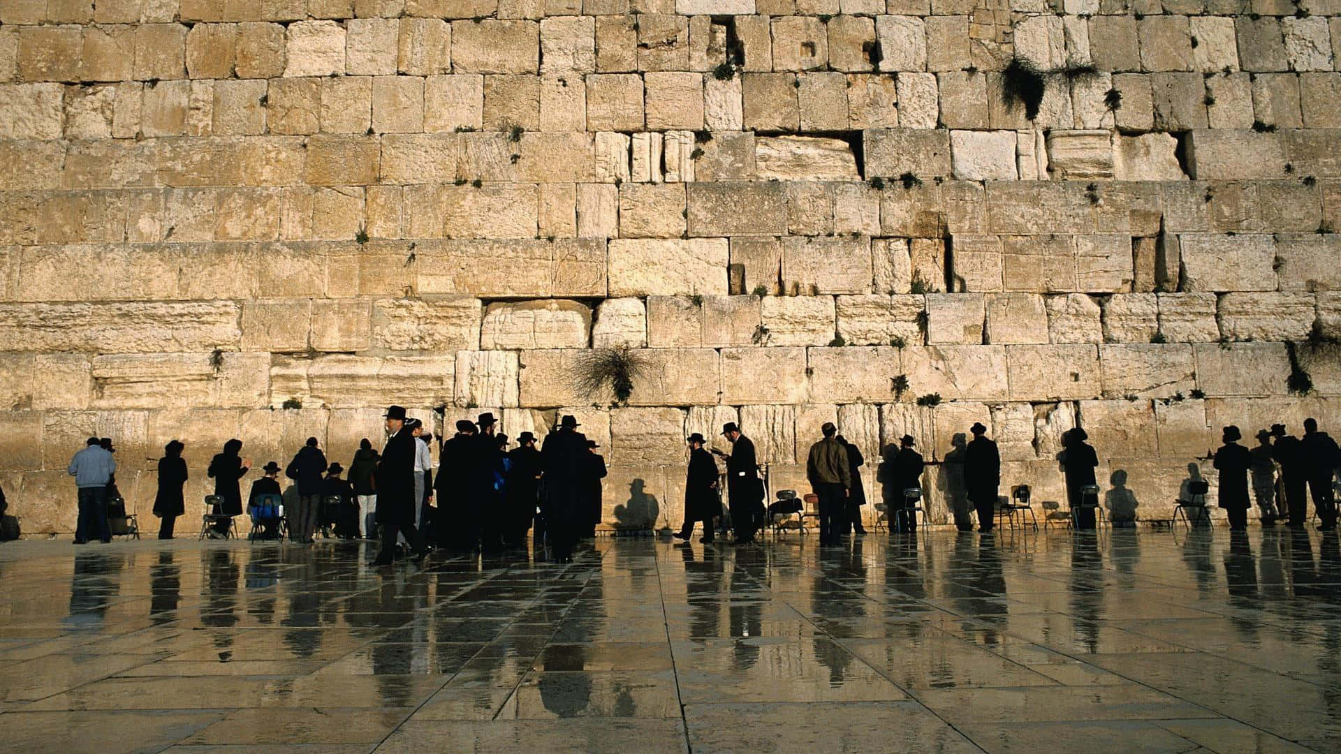 Israel 桌布 壁紙 — 剪影般的朝聖者在溫暖的金色光芒下於古老的西牆前祈禱。