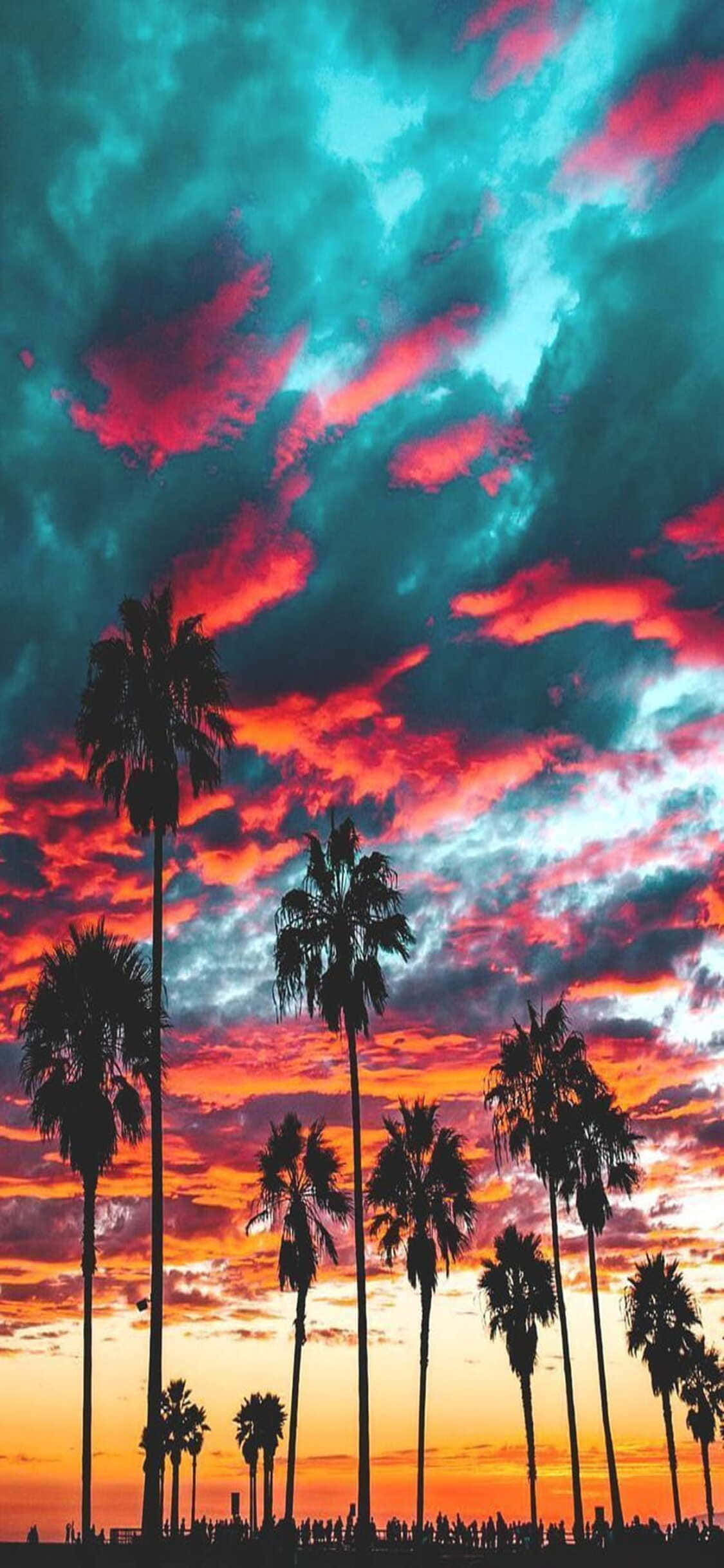 iPhone X California 桌布 壁紙 — 剪影般的棕櫚樹伸向夕陽下被火紅橘色和電光藍綠色雲彩渲染的鮮豔天空。
