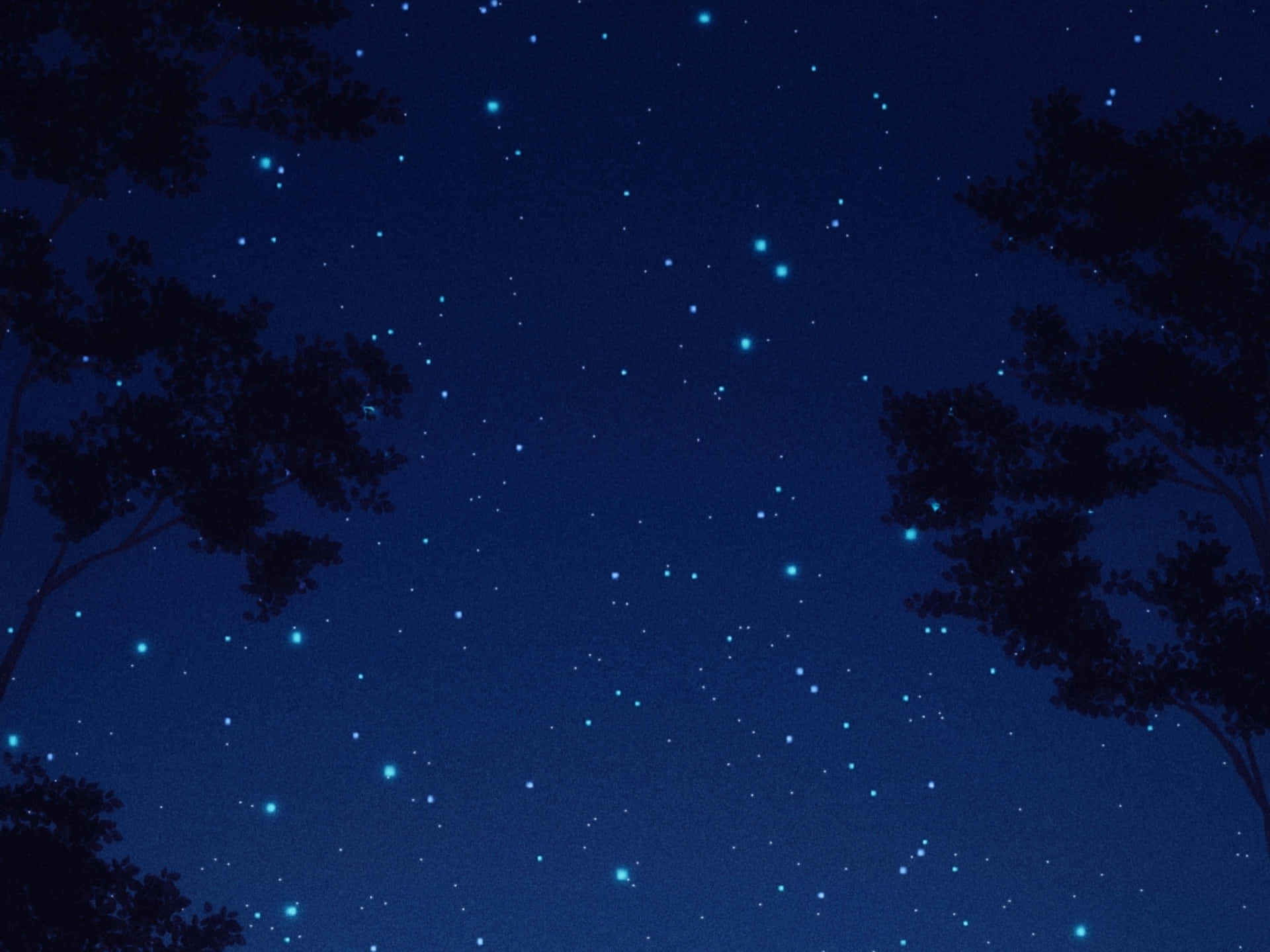 動漫 桌布 壁紙 — 剪影般的樹枝框住了一片深藍色的夜空，點綴著閃爍的星星。
