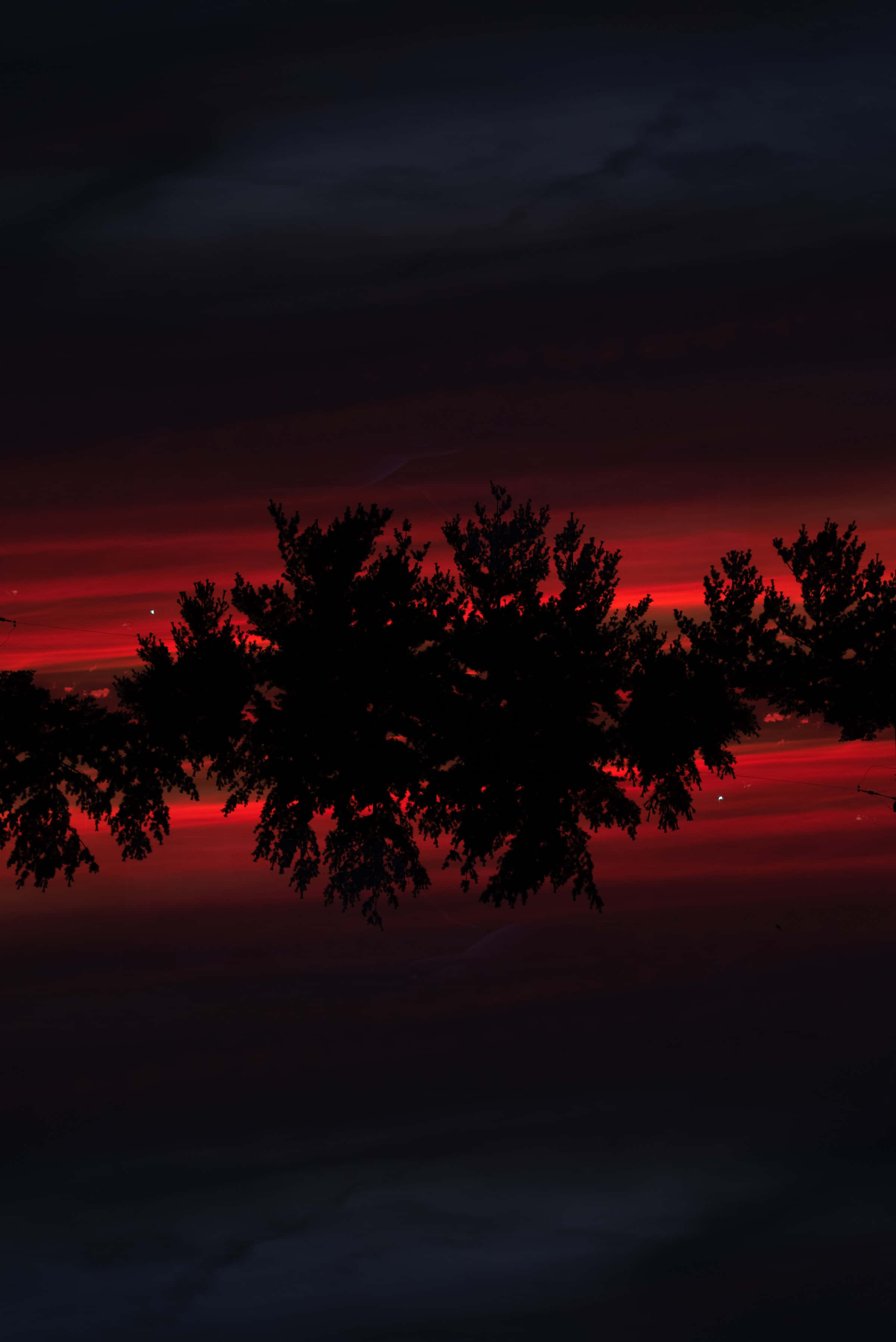 Red Sunset 桌布 壁紙 — 剪影般的樹枝框住了黑暗地平線上方戲劇性的紅黑日落天空。