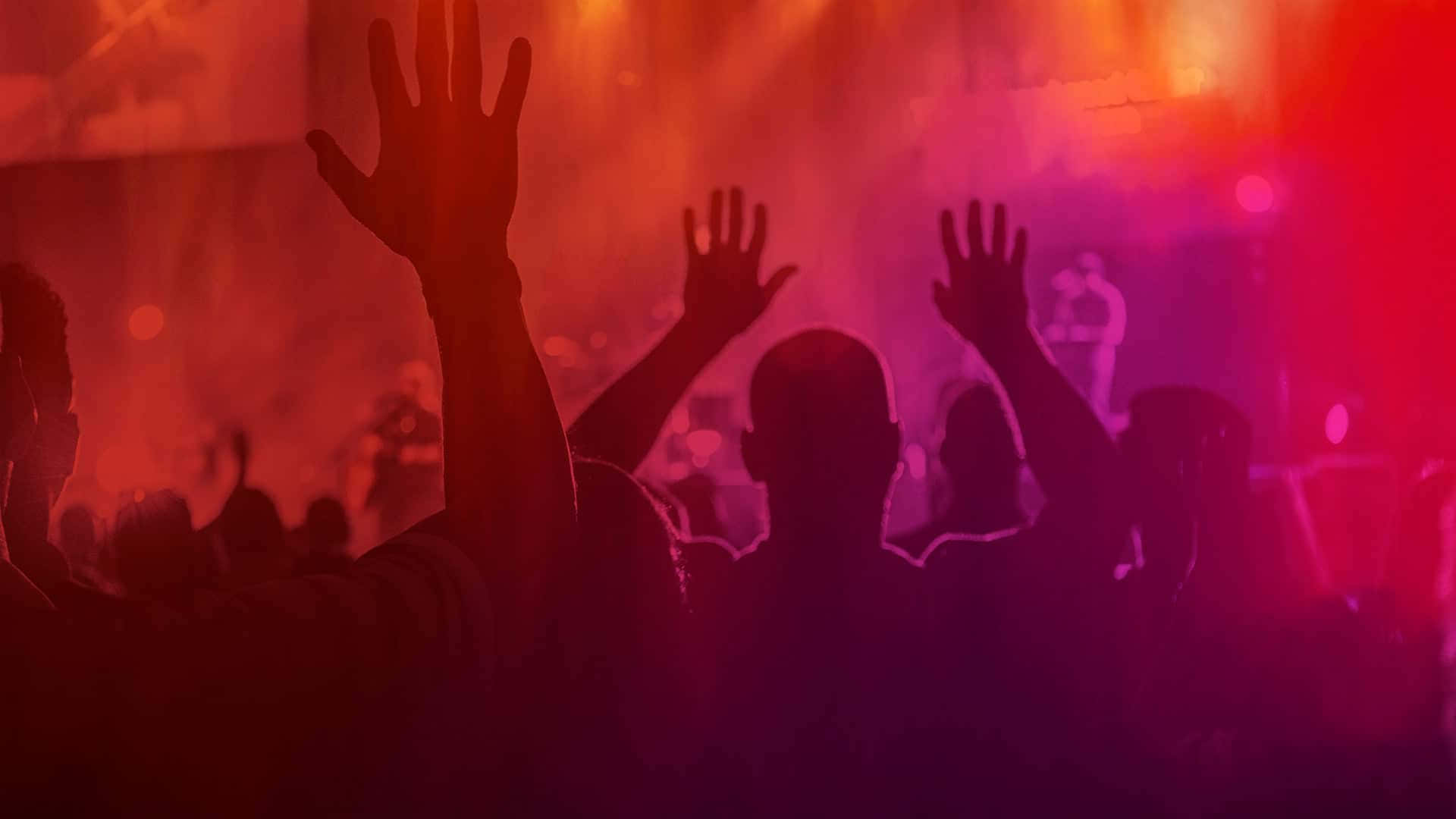 人物 桌布 壁紙 — 剪影般的演唱會觀眾在現場音樂活動中，在鮮豔的紅色和紫色舞台燈光下舉起雙手。