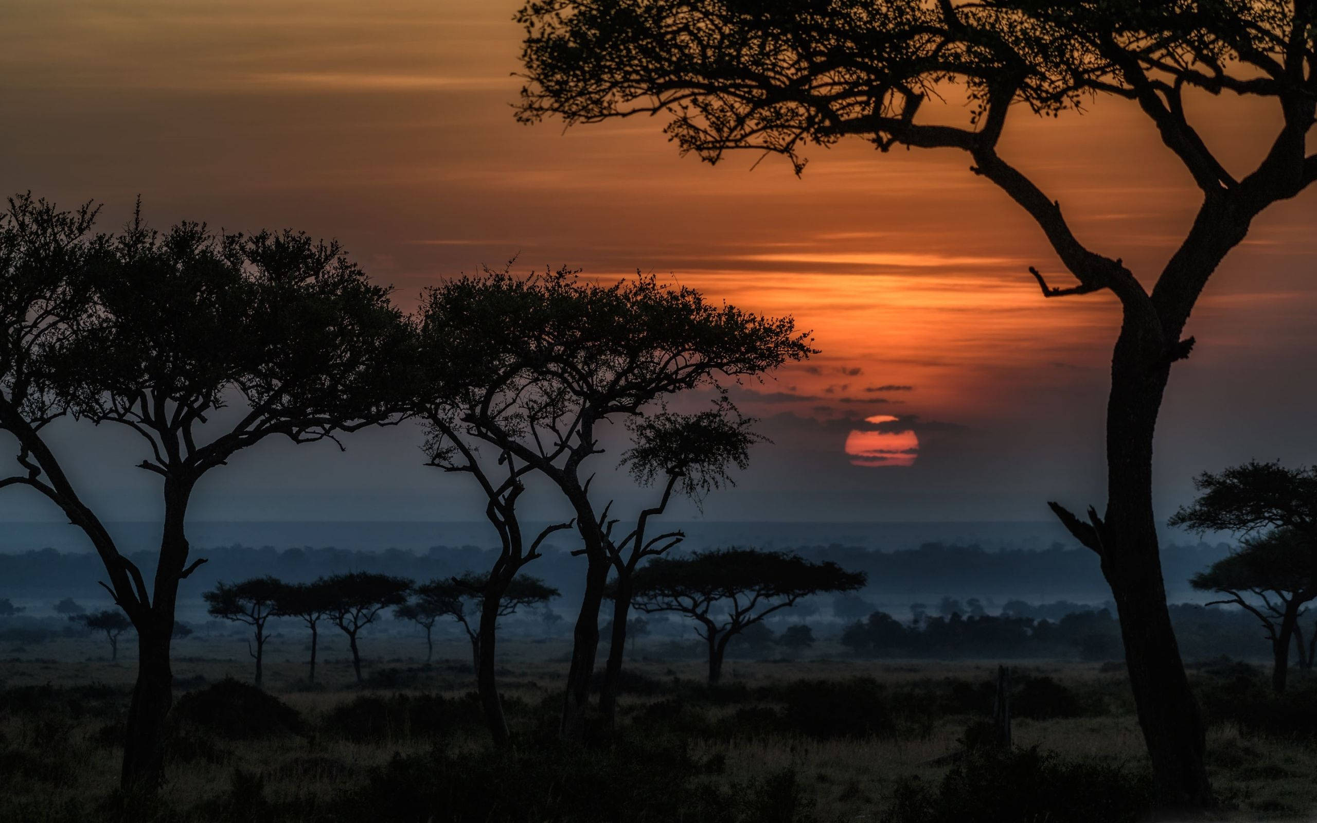 Kenya 桌布 壁紙 — 剪影般的金合歡樹襯托著非洲霧氣朦朧的稀樹草原上充滿活力的橙色日落。