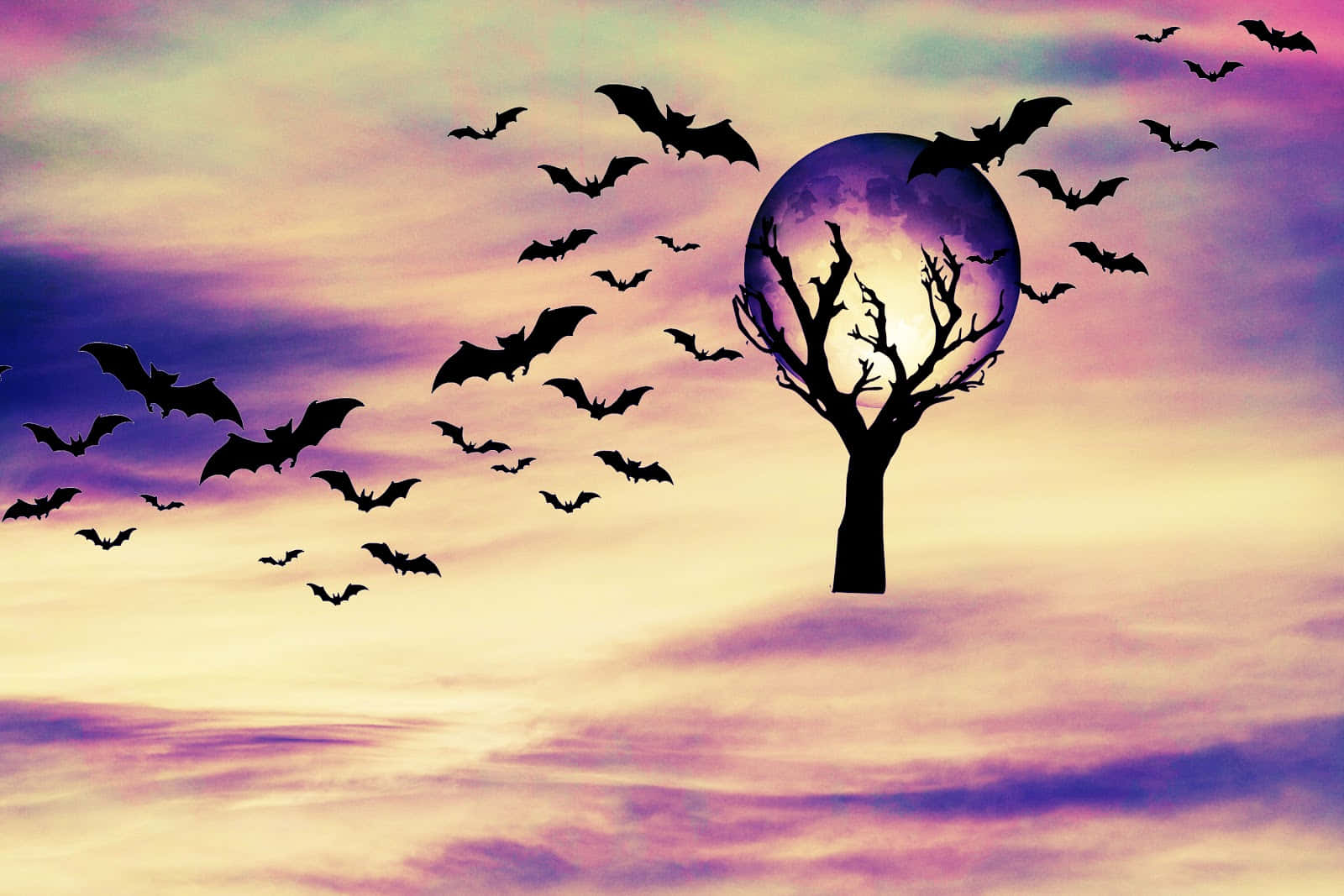 Spooky Halloween 桌布 壁紙 — 剪影蝙蝠在光禿禿的樹木周圍成群飛舞，背景是暮色天空，有一輪發光的紫色月亮。